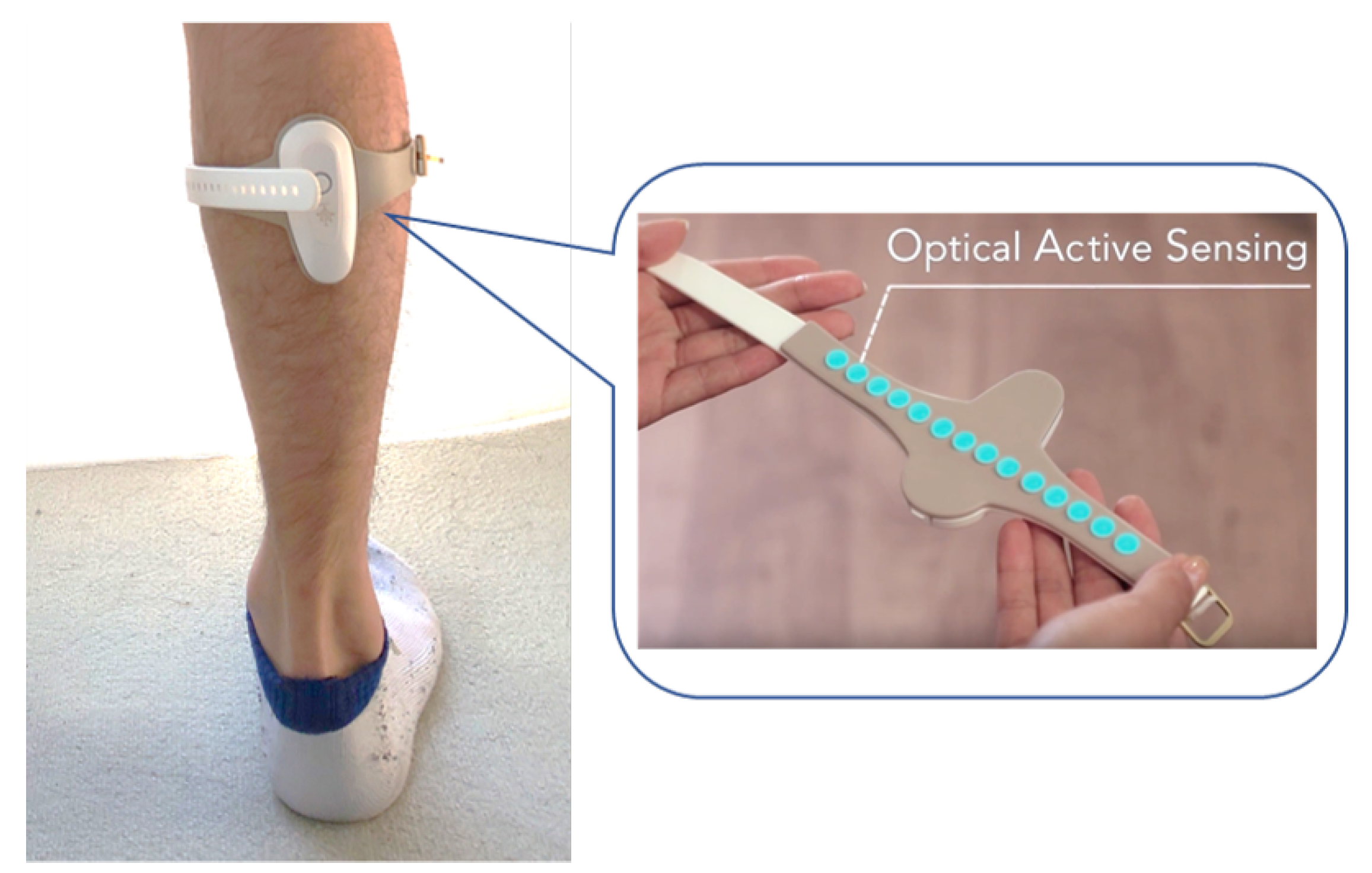 Sensors 21 01081 g003 Sensors 21 01081 g003