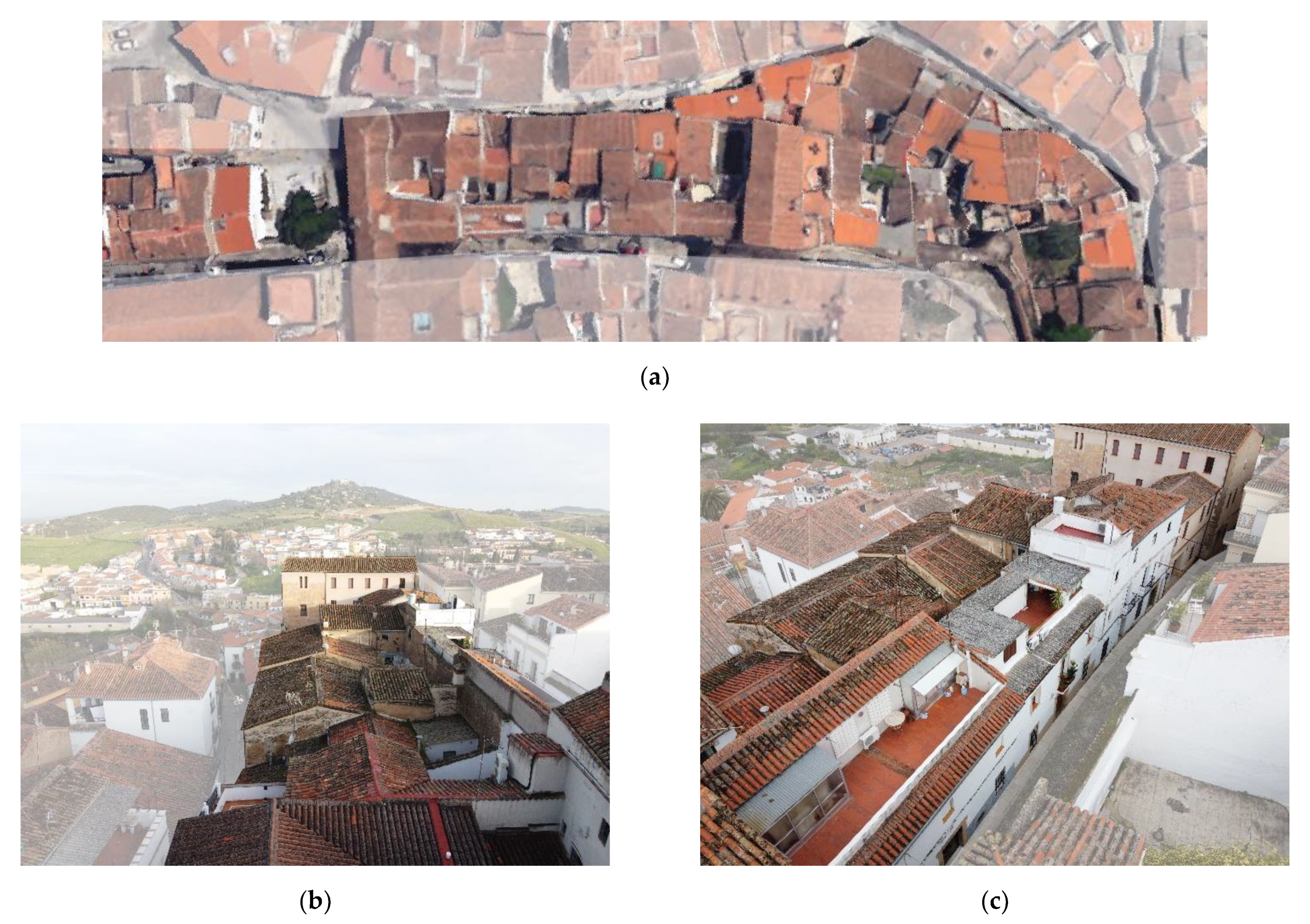 Sensors 21 01083 g001