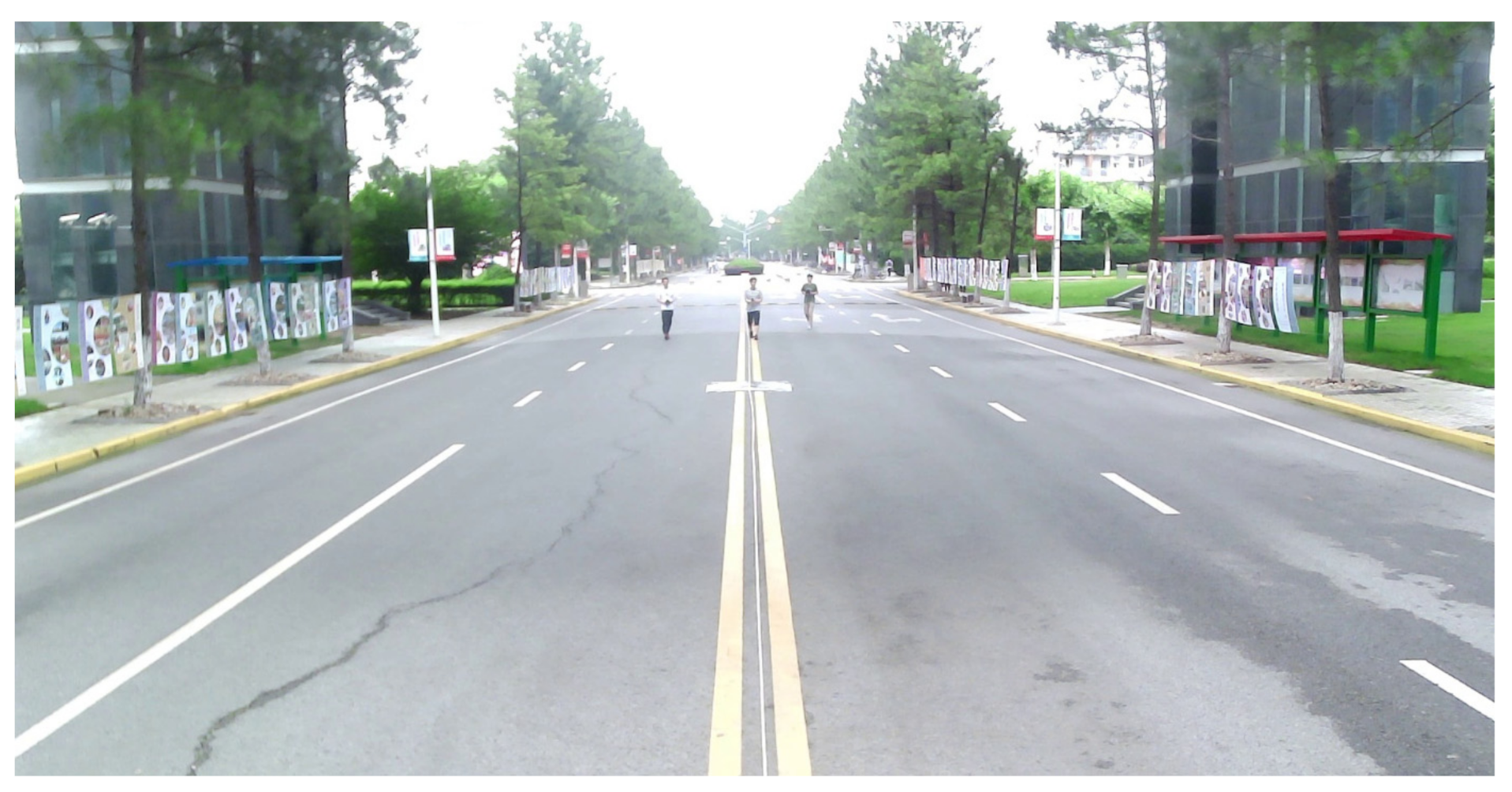 Sensors 21 01116 g006