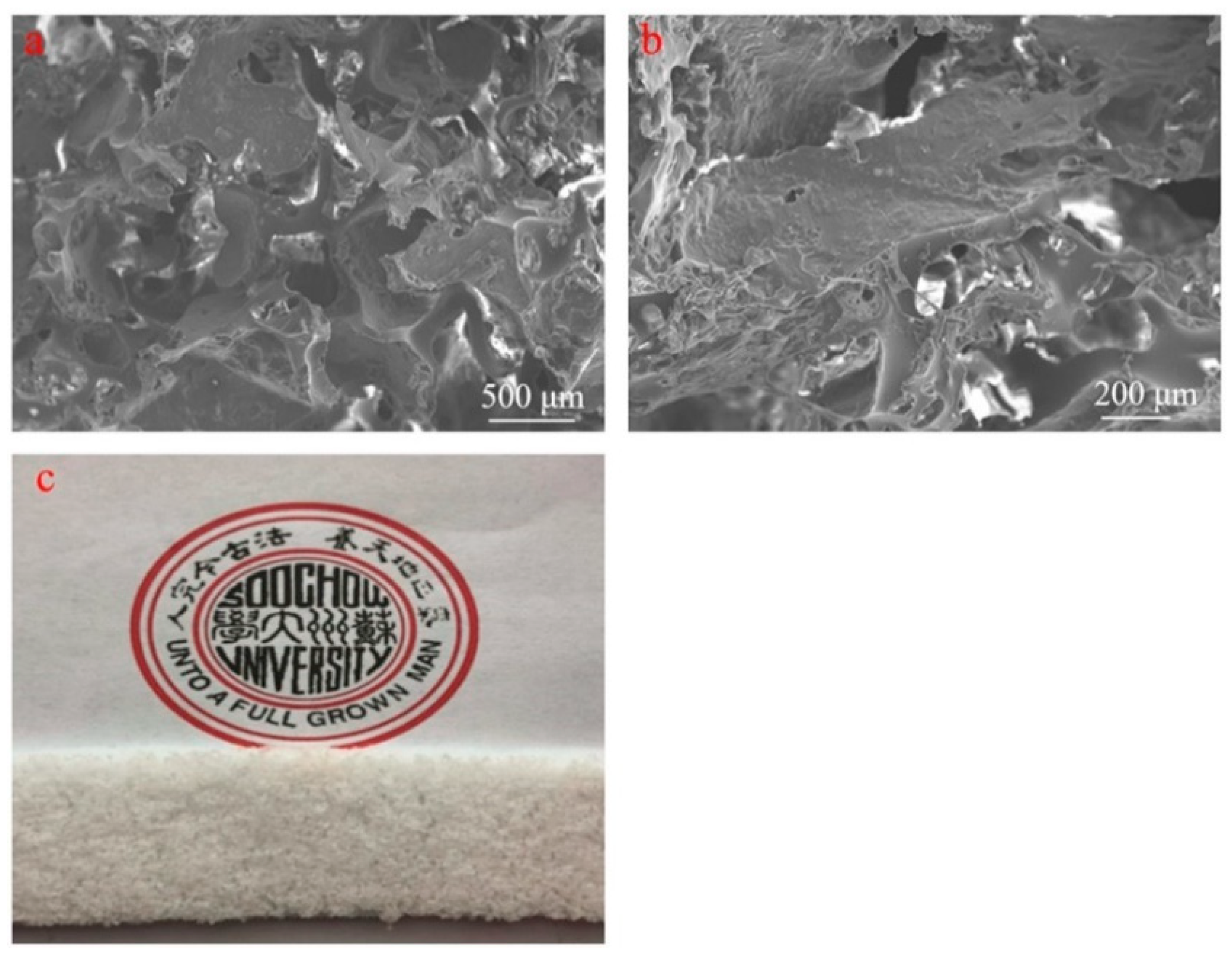 Sensors 21 01119 g002 Sensors 21 01119 g002