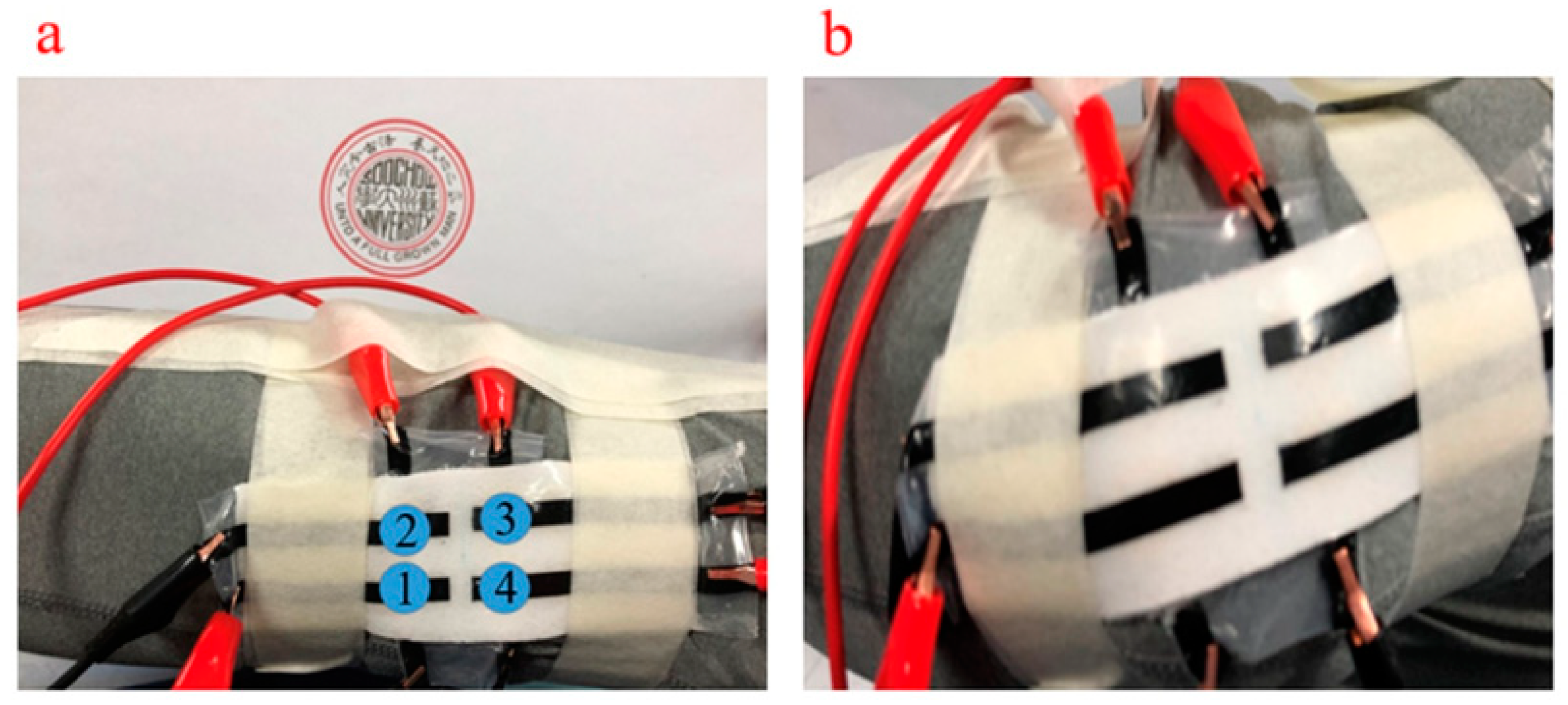 Sensors 21 01119 g0a5 Sensors 21 01119 g0a5