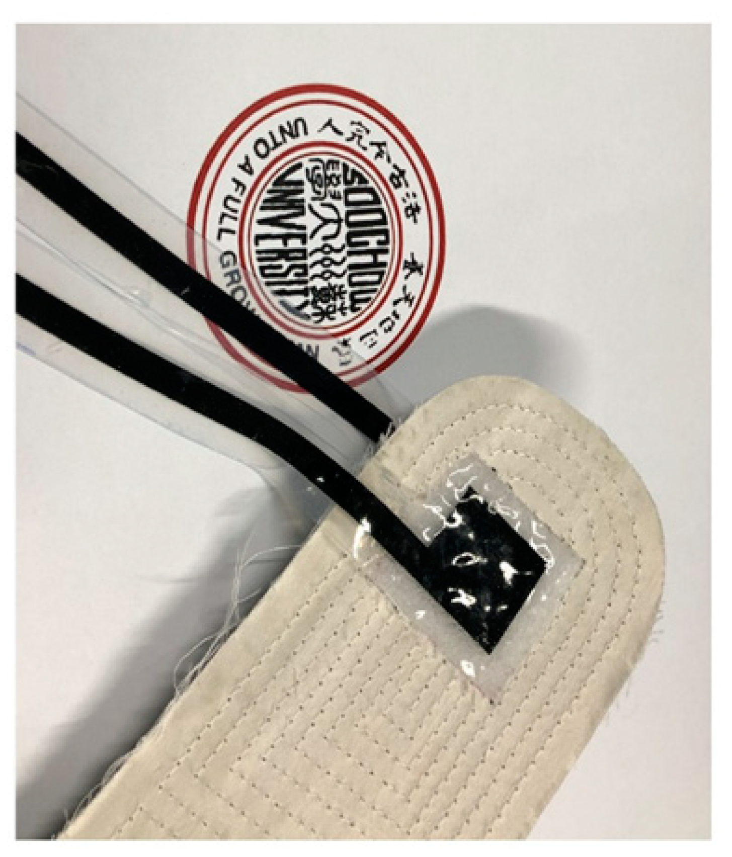 Sensors 21 01119 g0a6 Sensors 21 01119 g0a6