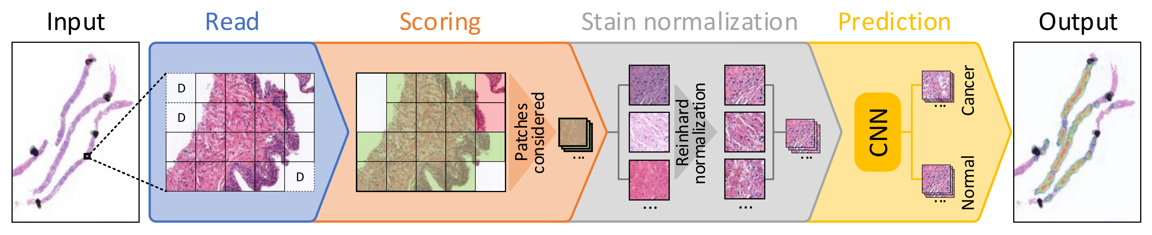 Sensors 21 01122 g001