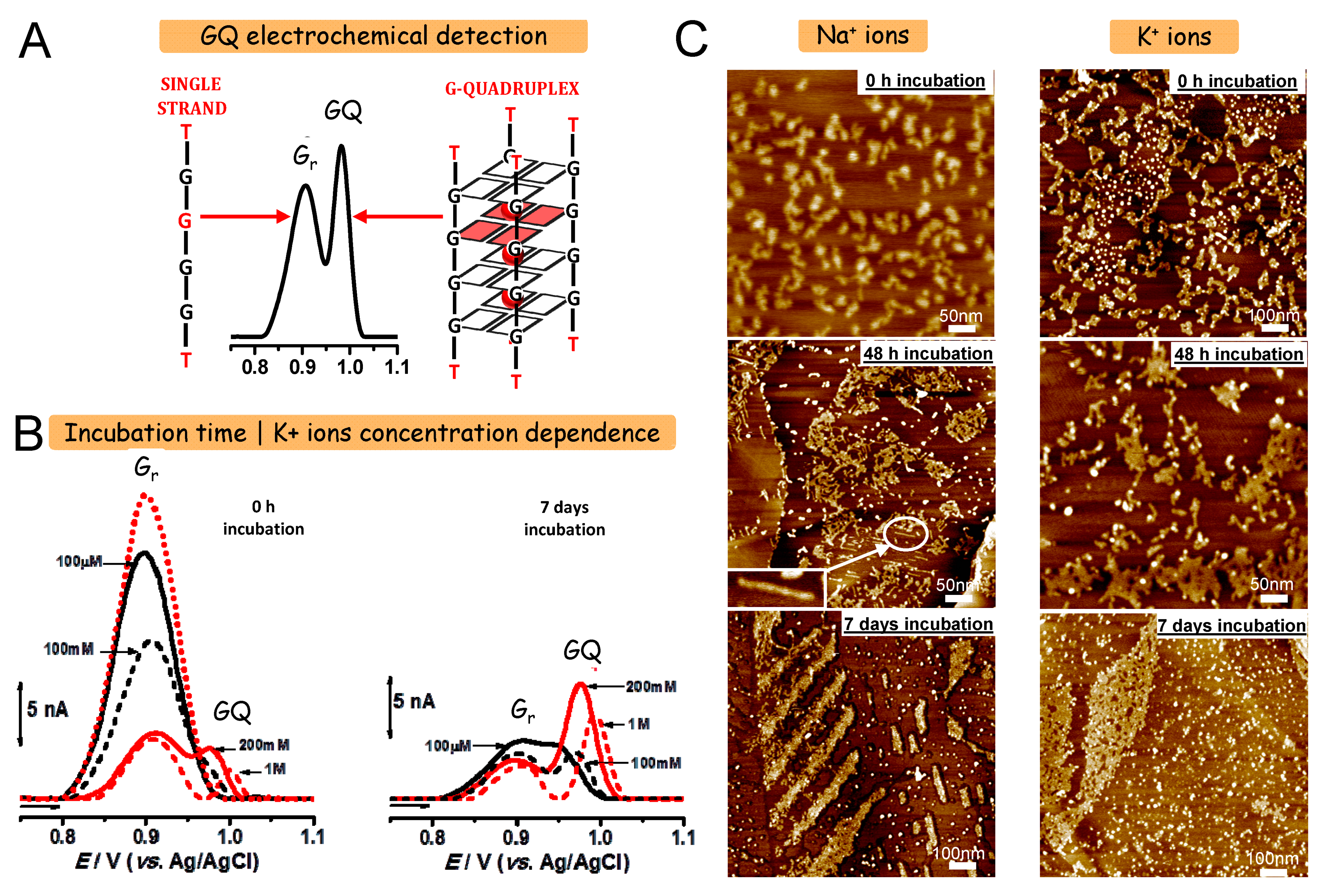 Sensors 21 01125 g002 Sensors 21 01125 g002