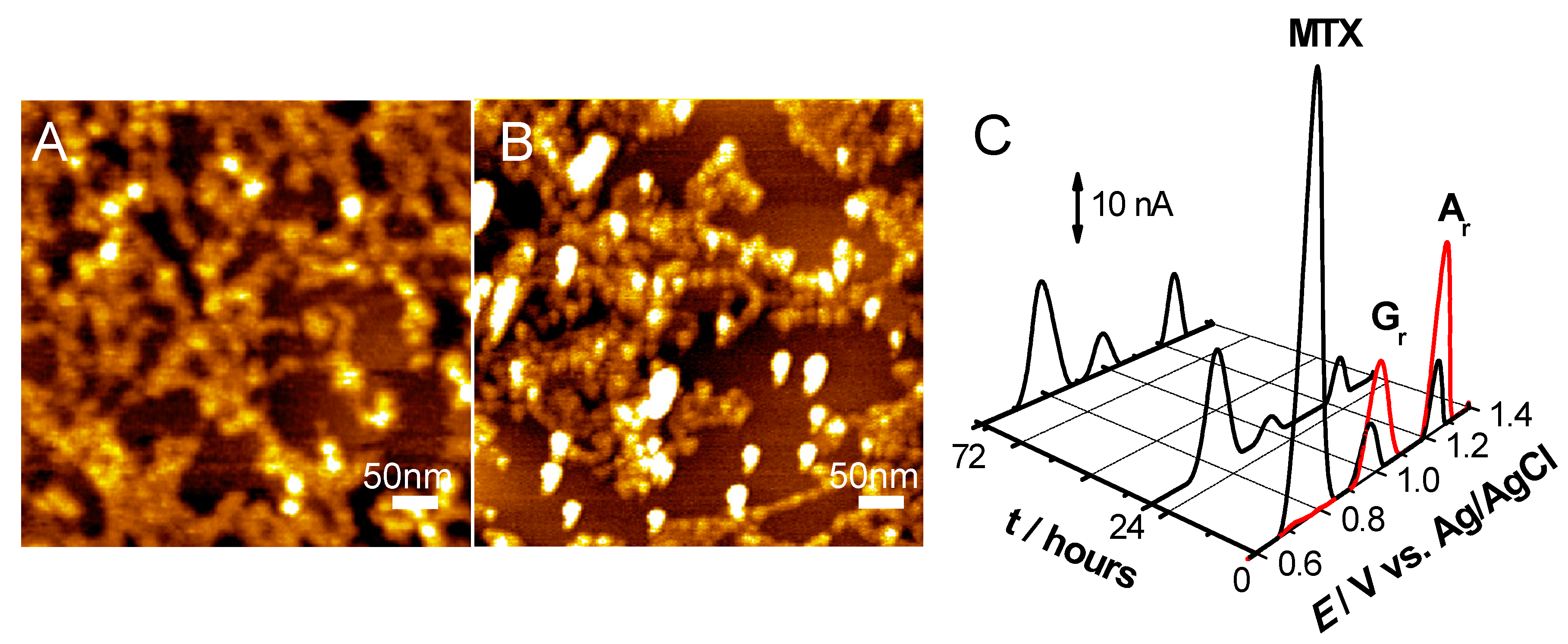 Sensors 21 01125 g006 Sensors 21 01125 g006