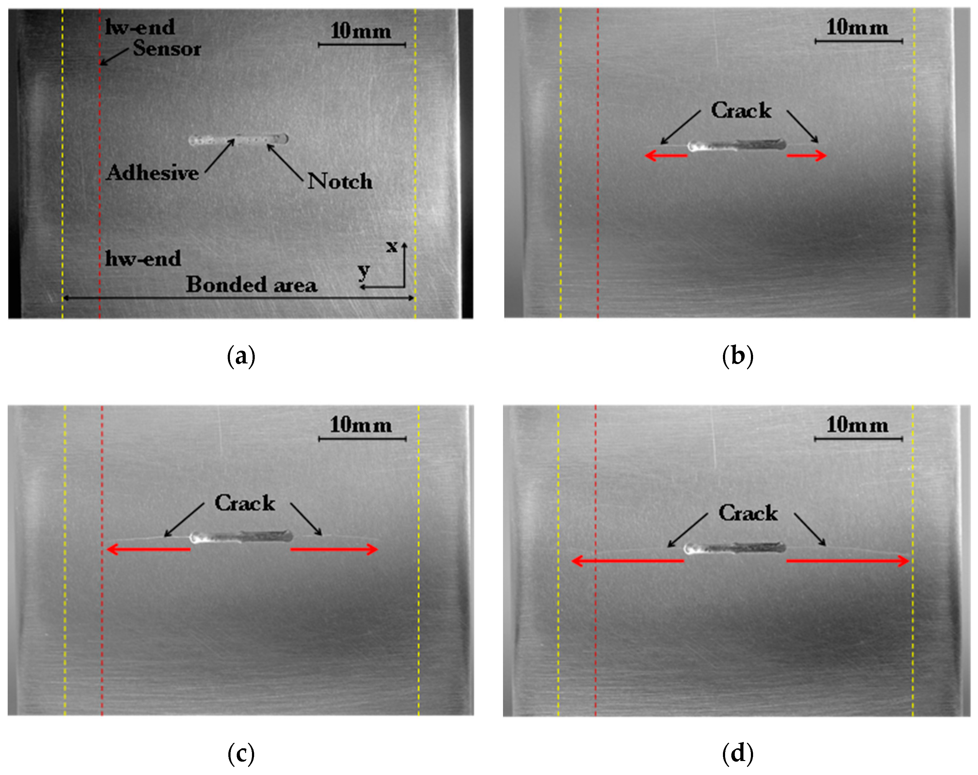 Sensors 21 01168 g003 Sensors 21 01168 g003