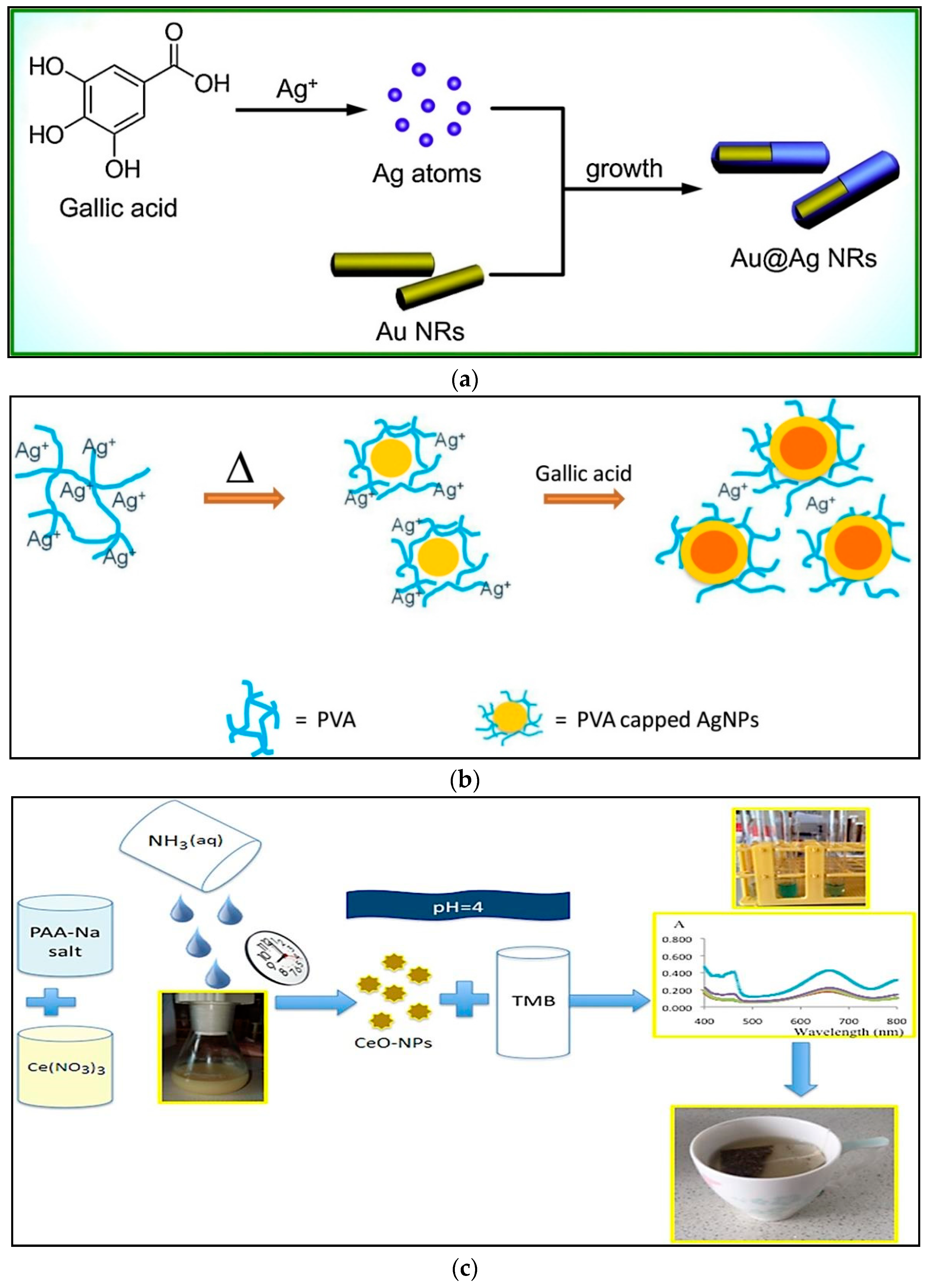 Sensors 21 01176 g001 Sensors 21 01176 g001