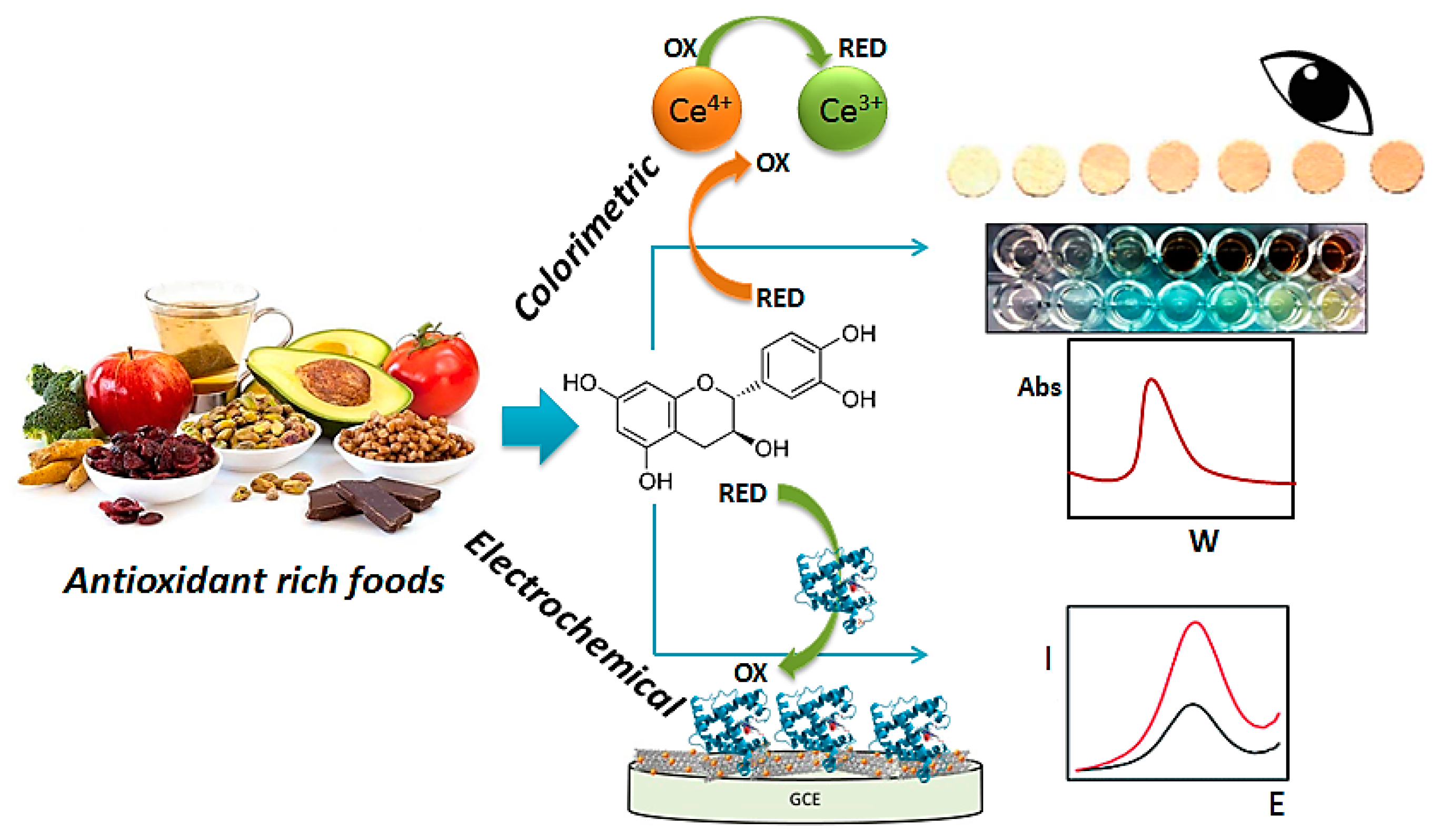 Sensors Free FullText An Overview of Optical and Electrochemical Sensors and Biosensors for