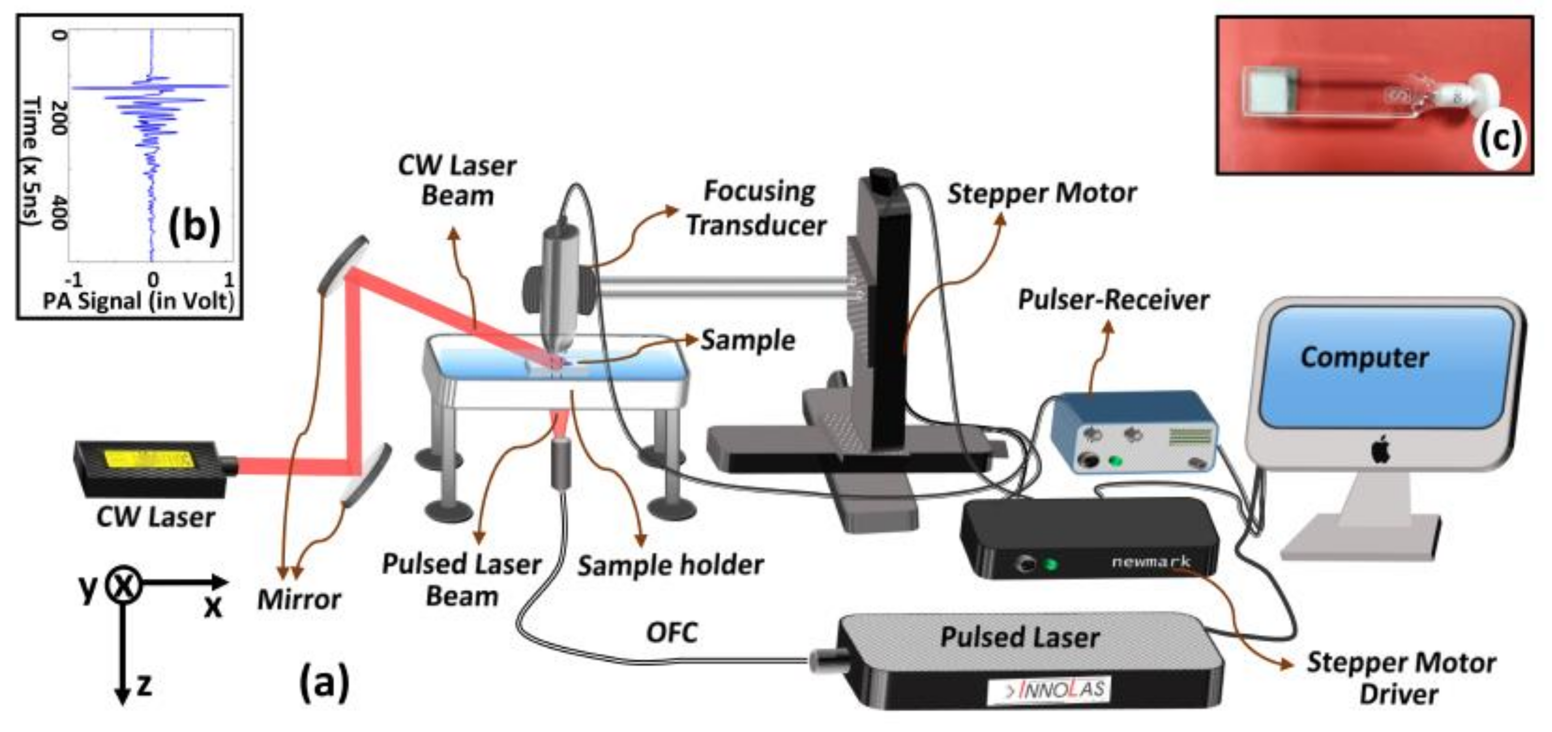 Sensors 21 01190 g002 Sensors 21 01190 g002