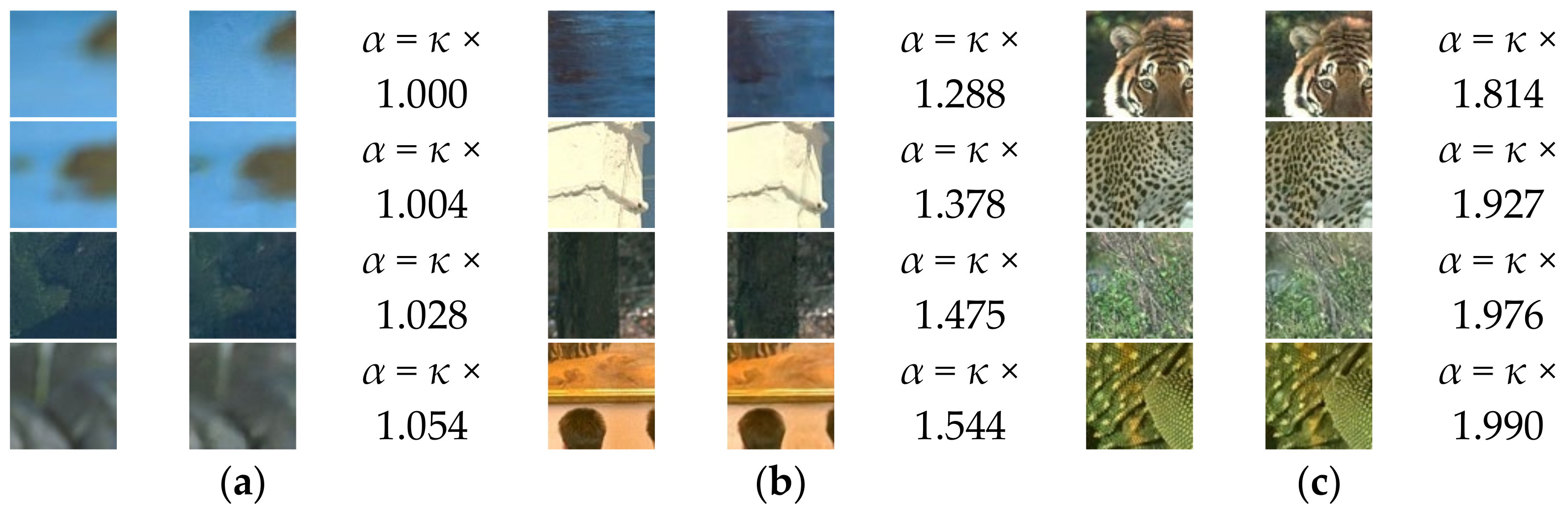 Sensors 21 01191 g004 Sensors 21 01191 g004