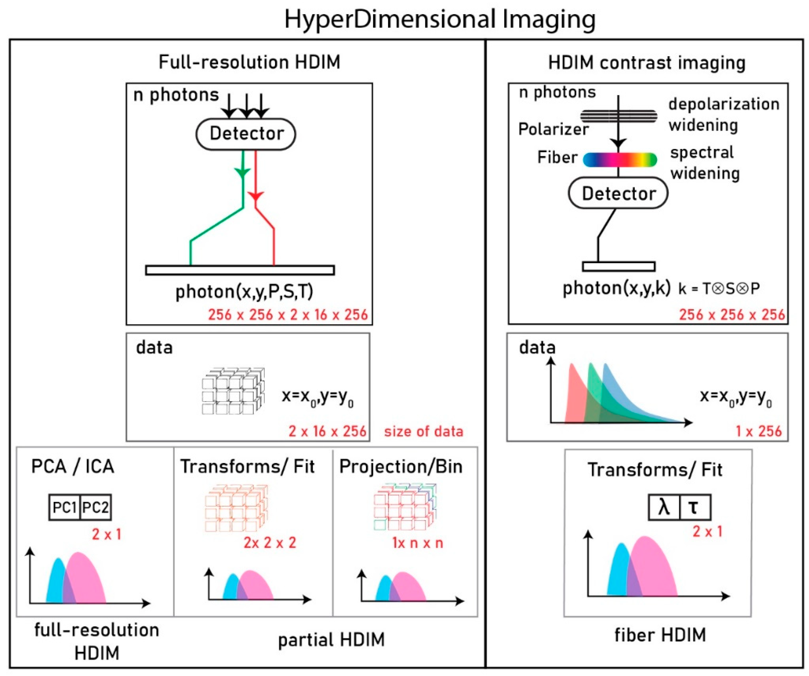 Sensors 21 01201 g001
