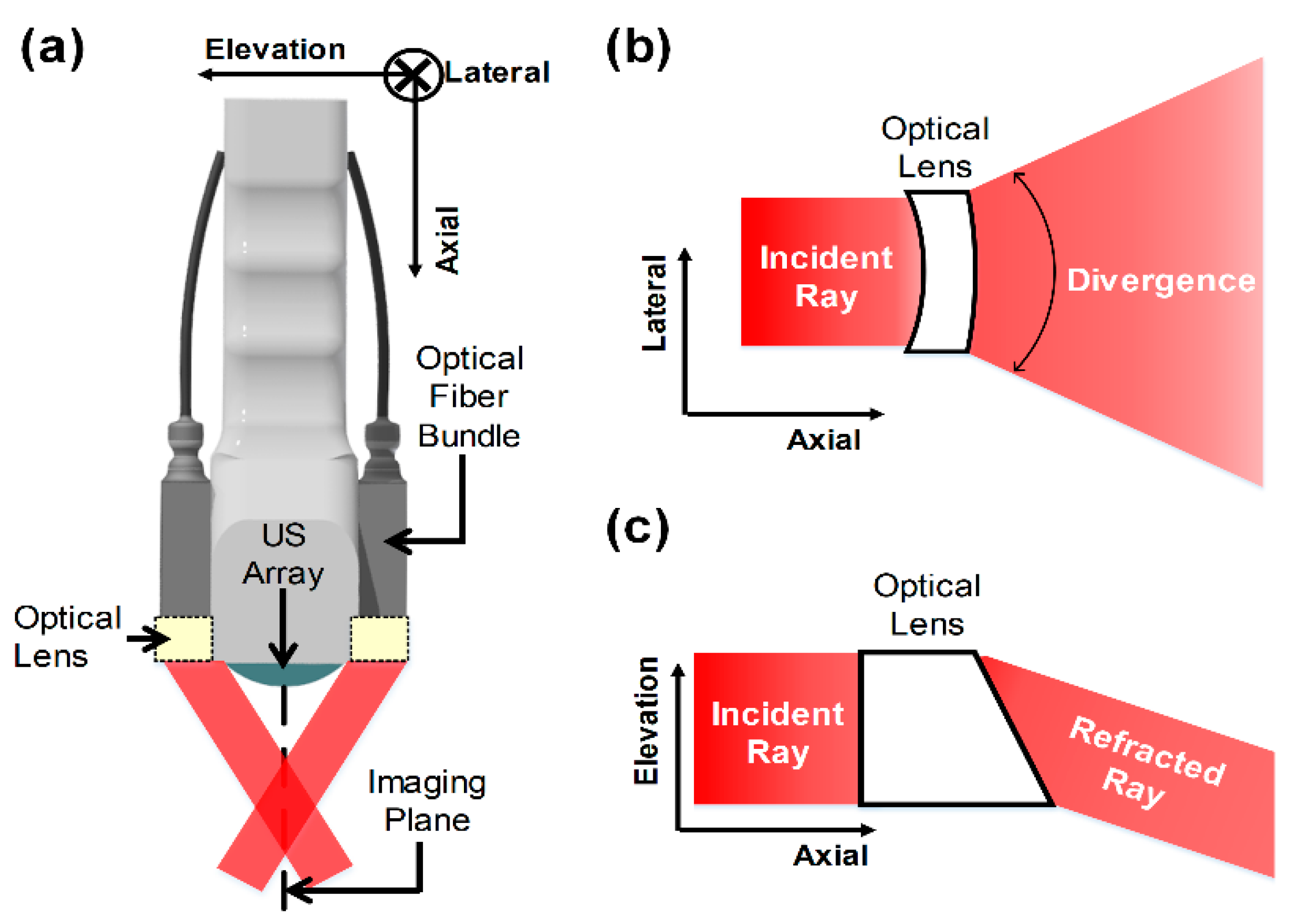 Sensors 21 01217 g002