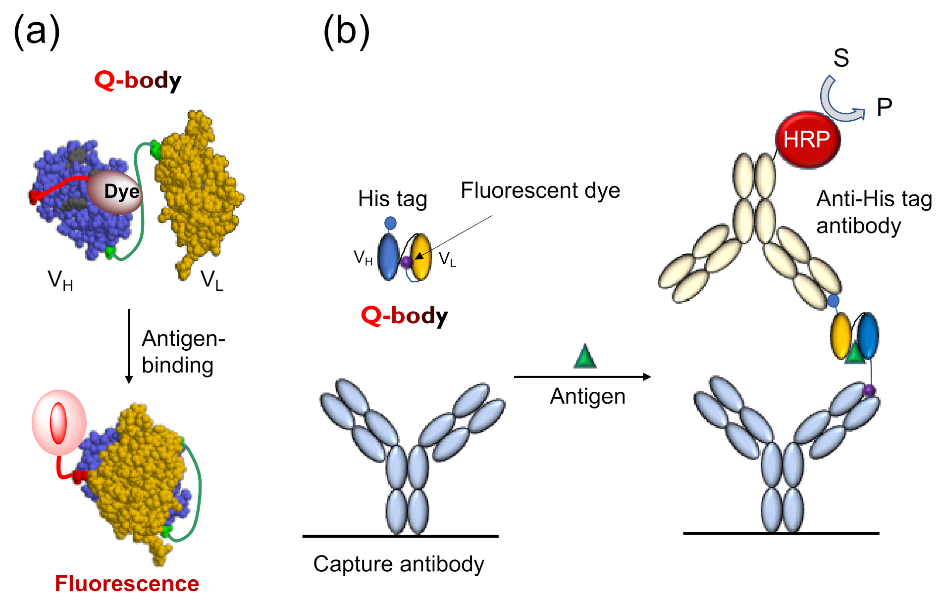 Sensors 21 01223 g001