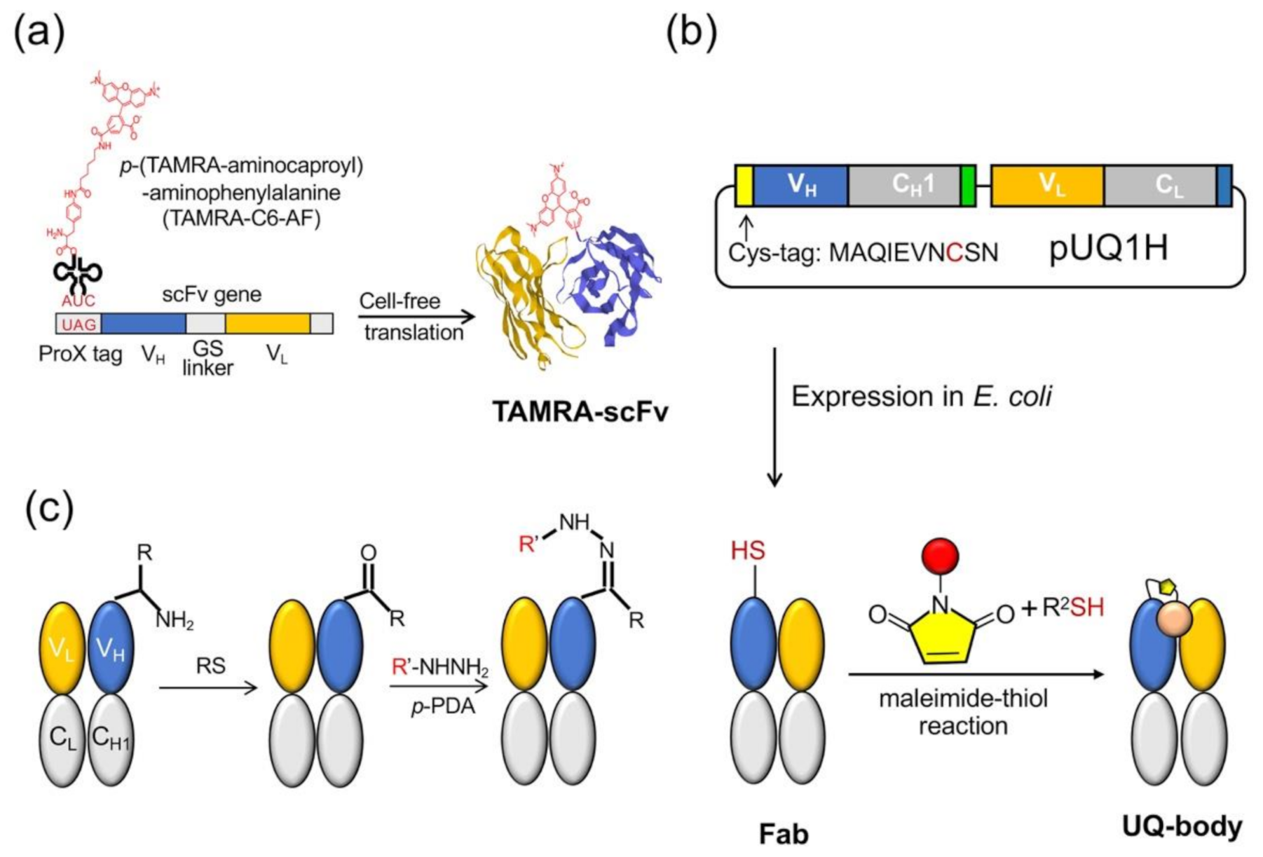 Sensors 21 01223 g002