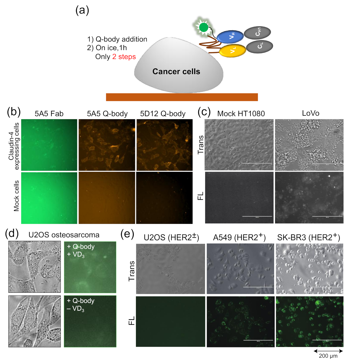 Sensors 21 01223 g004
