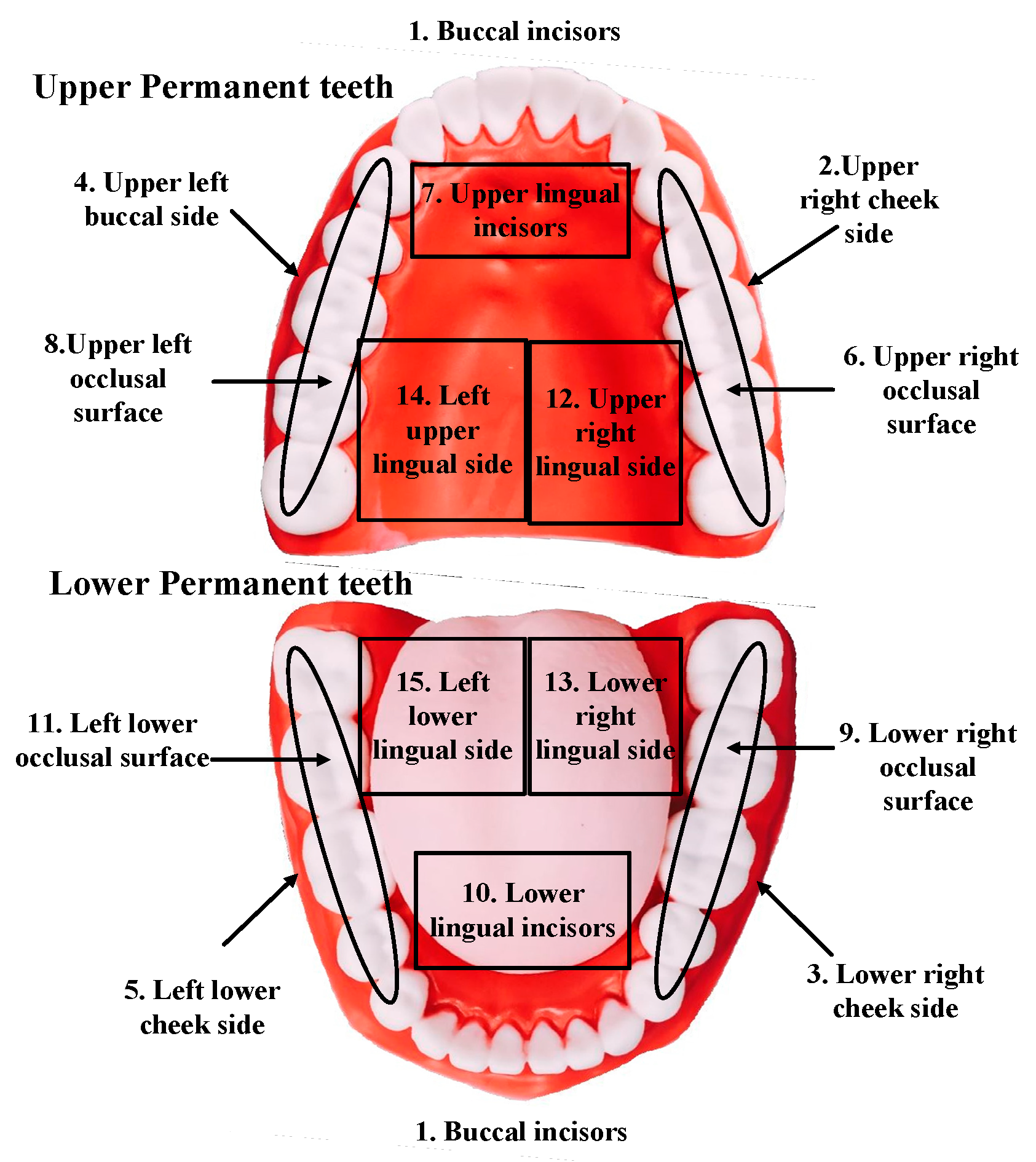 Sensors 21 01238 g001
