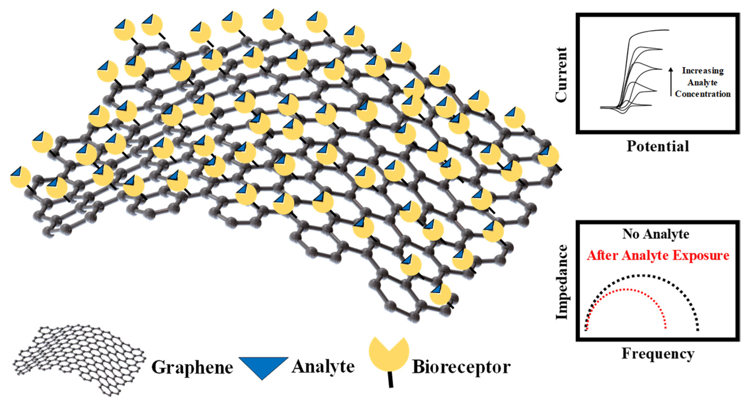 Sensors 21 01253 g006 Sensors 21 01253 g006