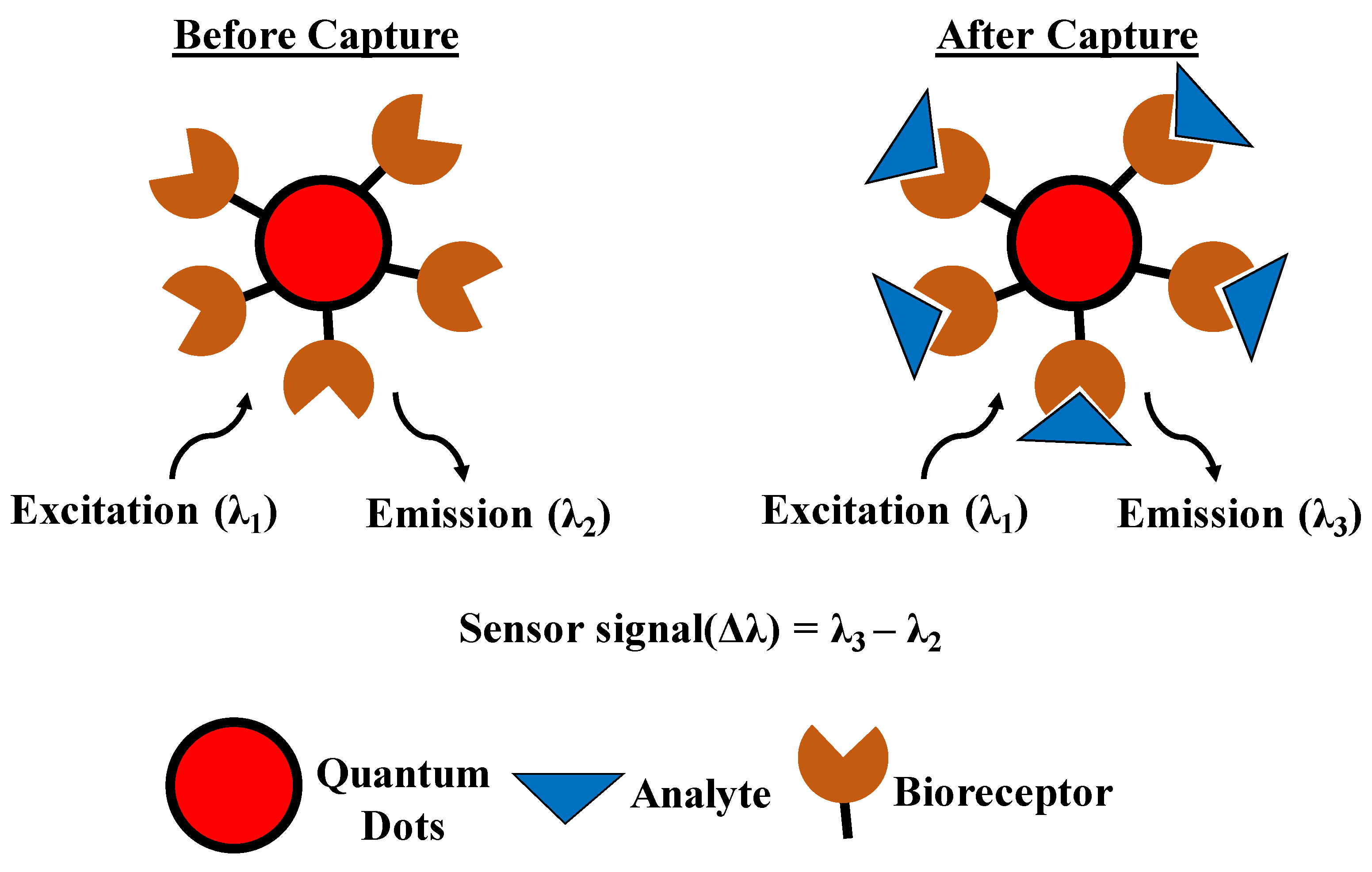 Sensors 21 01253 g007 Sensors 21 01253 g007
