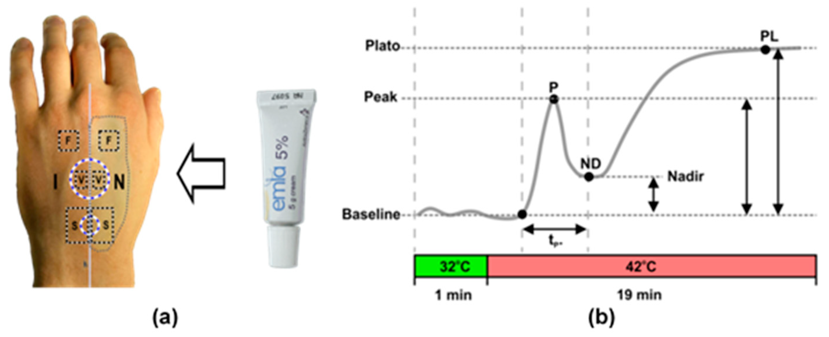 Sensors 21 01272 g002 Sensors 21 01272 g002