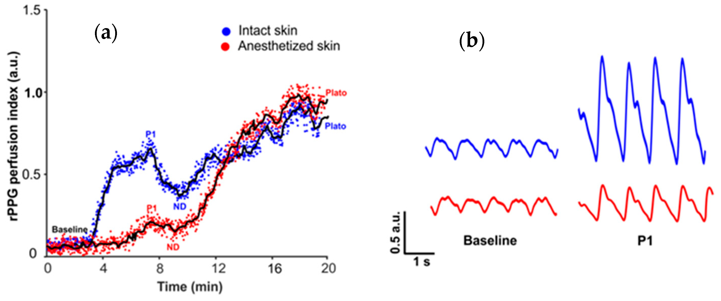 Sensors 21 01272 g004 Sensors 21 01272 g004