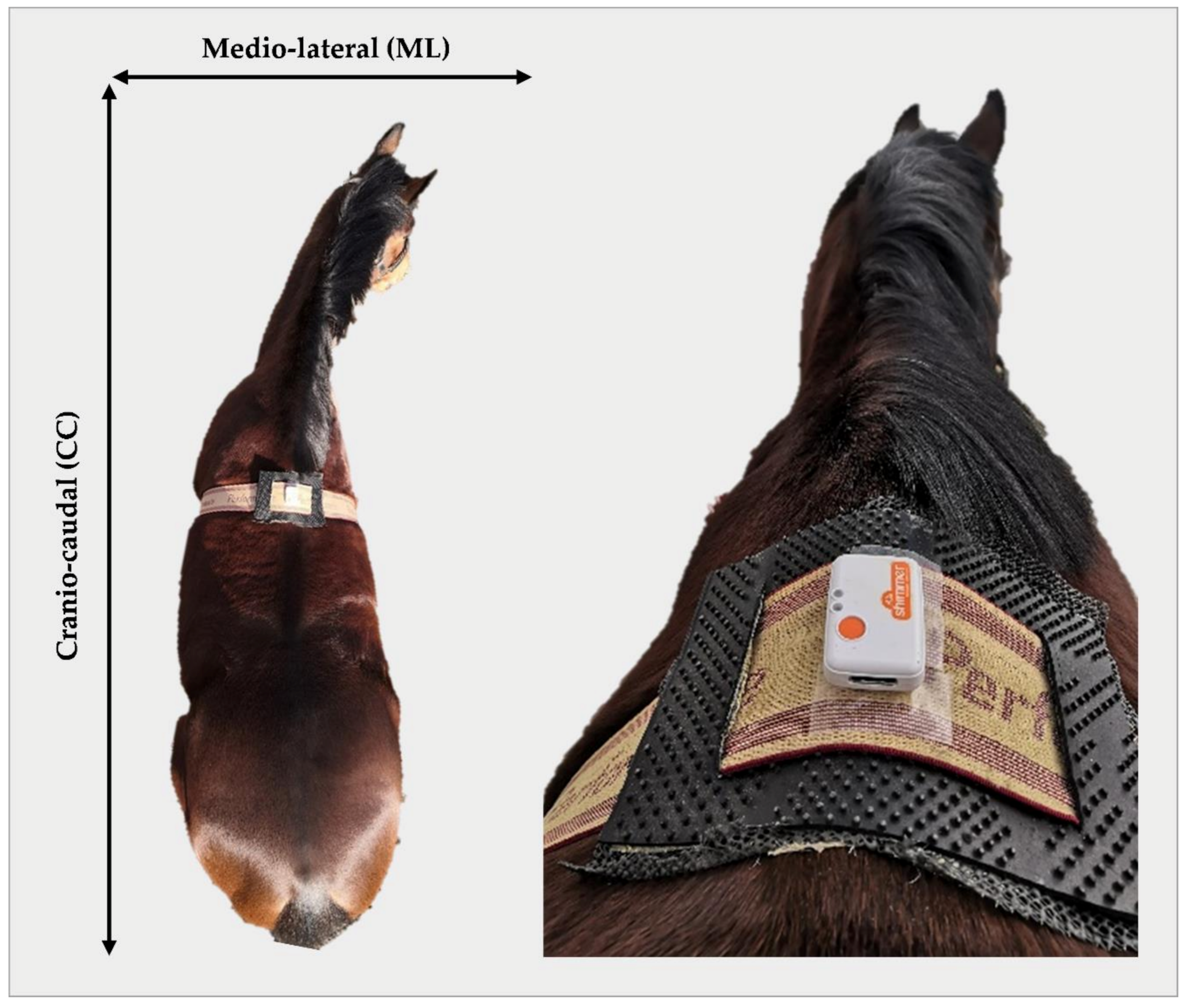 Sensors 21 01286 g001 Sensors 21 01286 g001