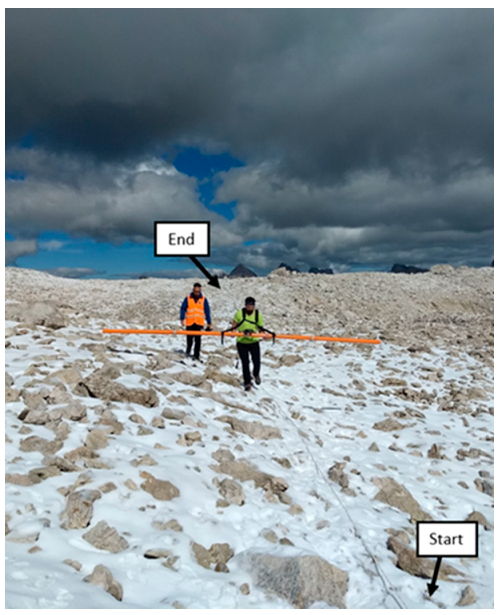 Sensors 21 01294 g004