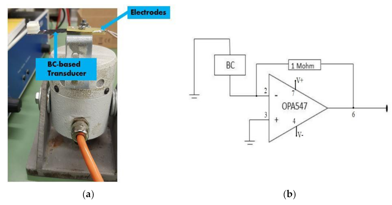 Sensors 21 01295 g003 Sensors 21 01295 g003