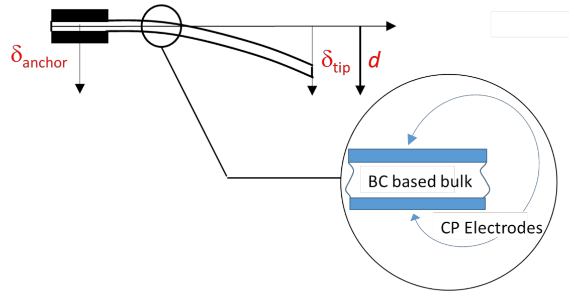 Sensors 21 01295 g004 Sensors 21 01295 g004