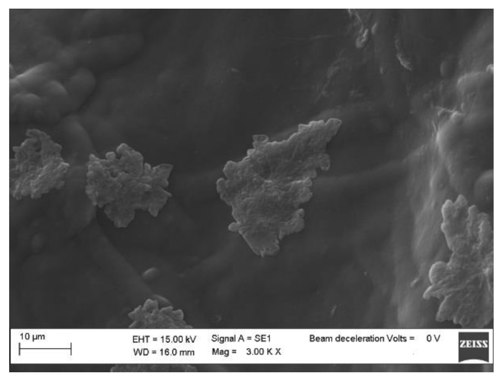 Sensors 21 01295 g007 Sensors 21 01295 g007