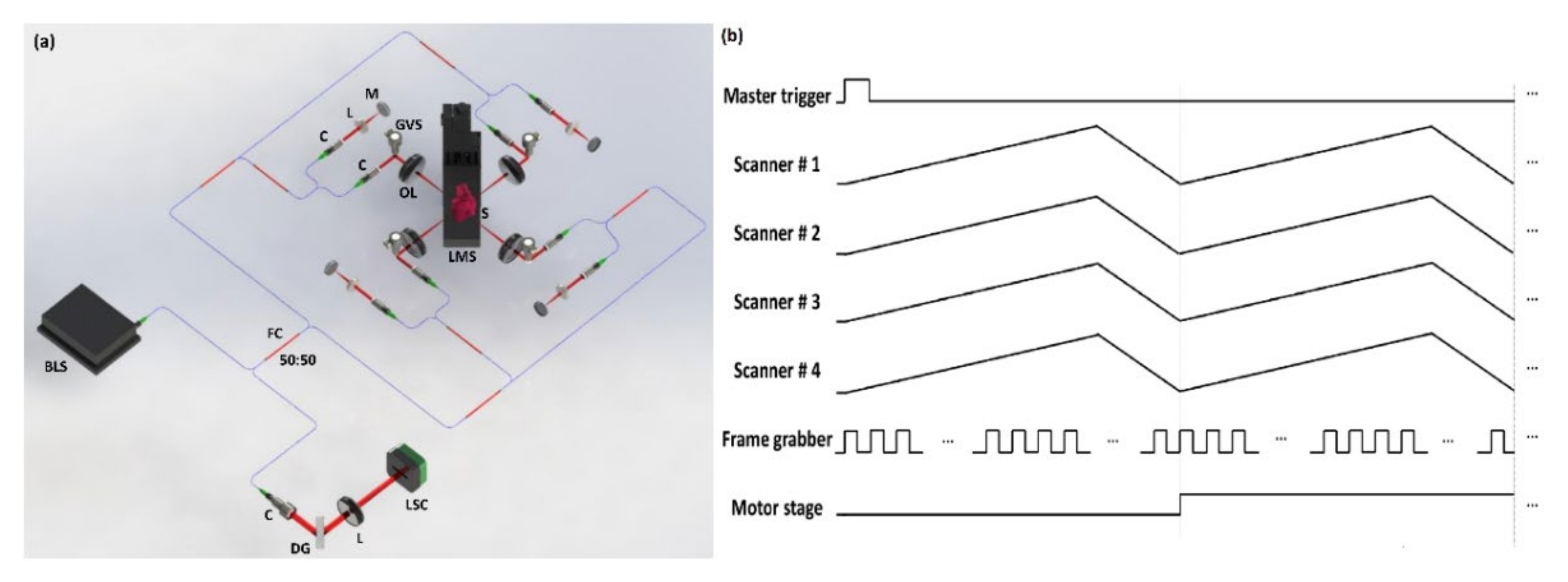 Sensors 21 01305 g001 Sensors 21 01305 g001