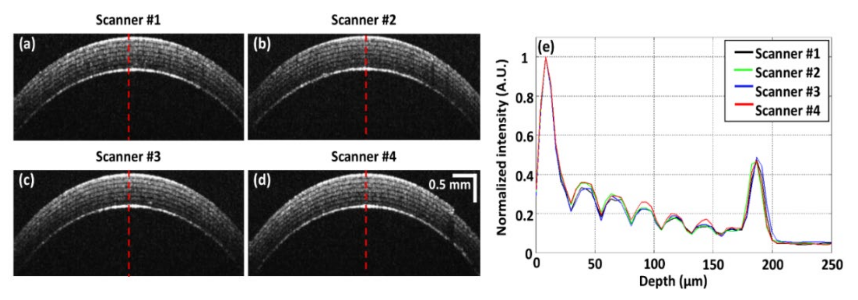 Sensors 21 01305 g004 Sensors 21 01305 g004