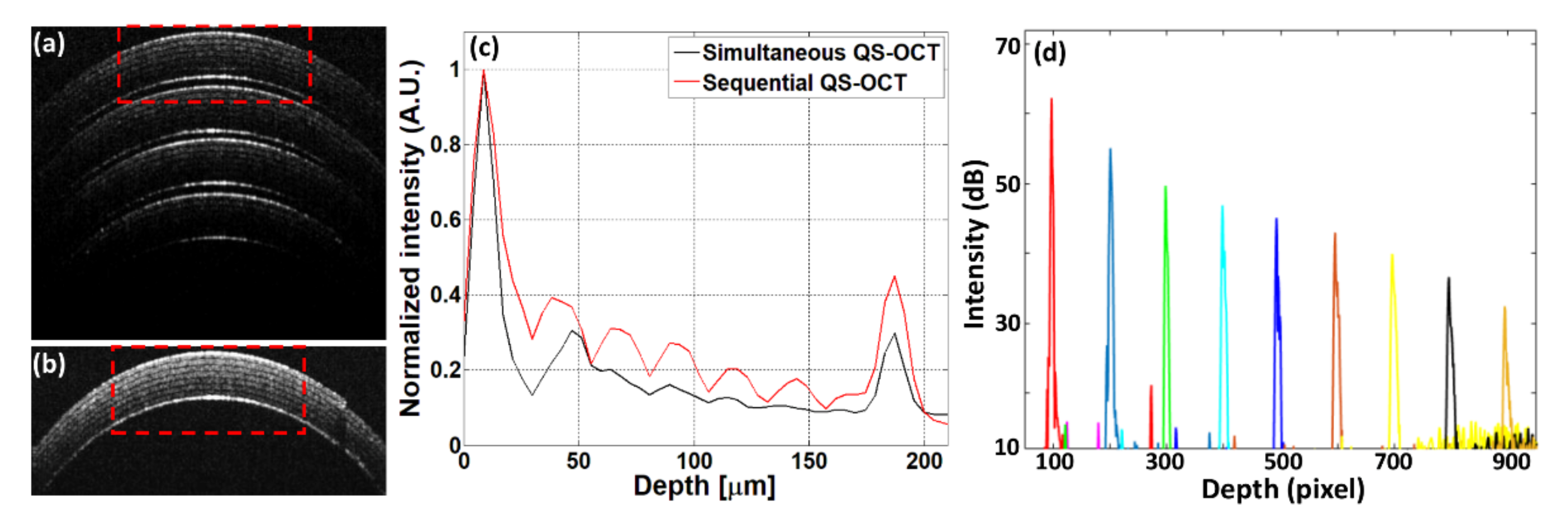 Sensors 21 01305 g005 Sensors 21 01305 g005