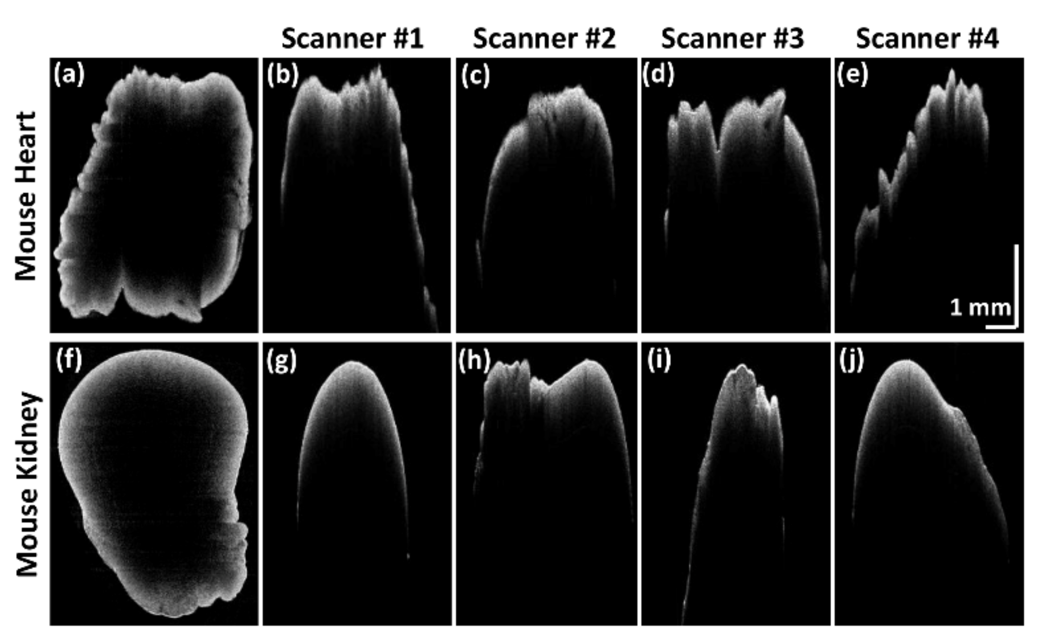 Sensors 21 01305 g007 Sensors 21 01305 g007