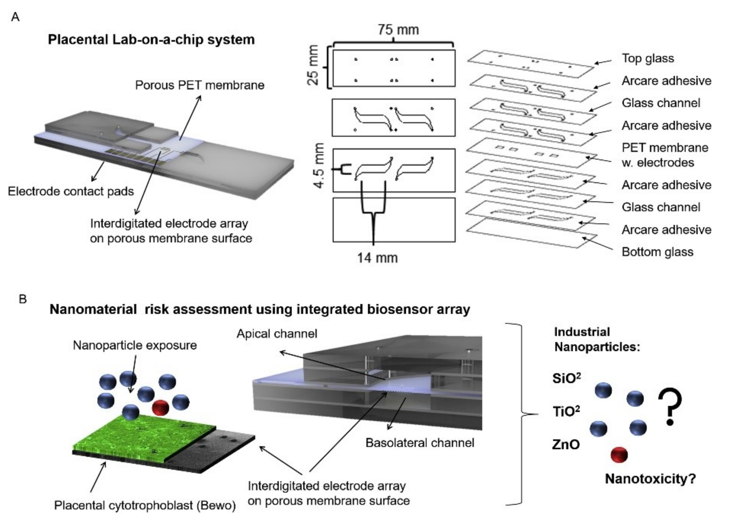 Sensors 21 01367 g002