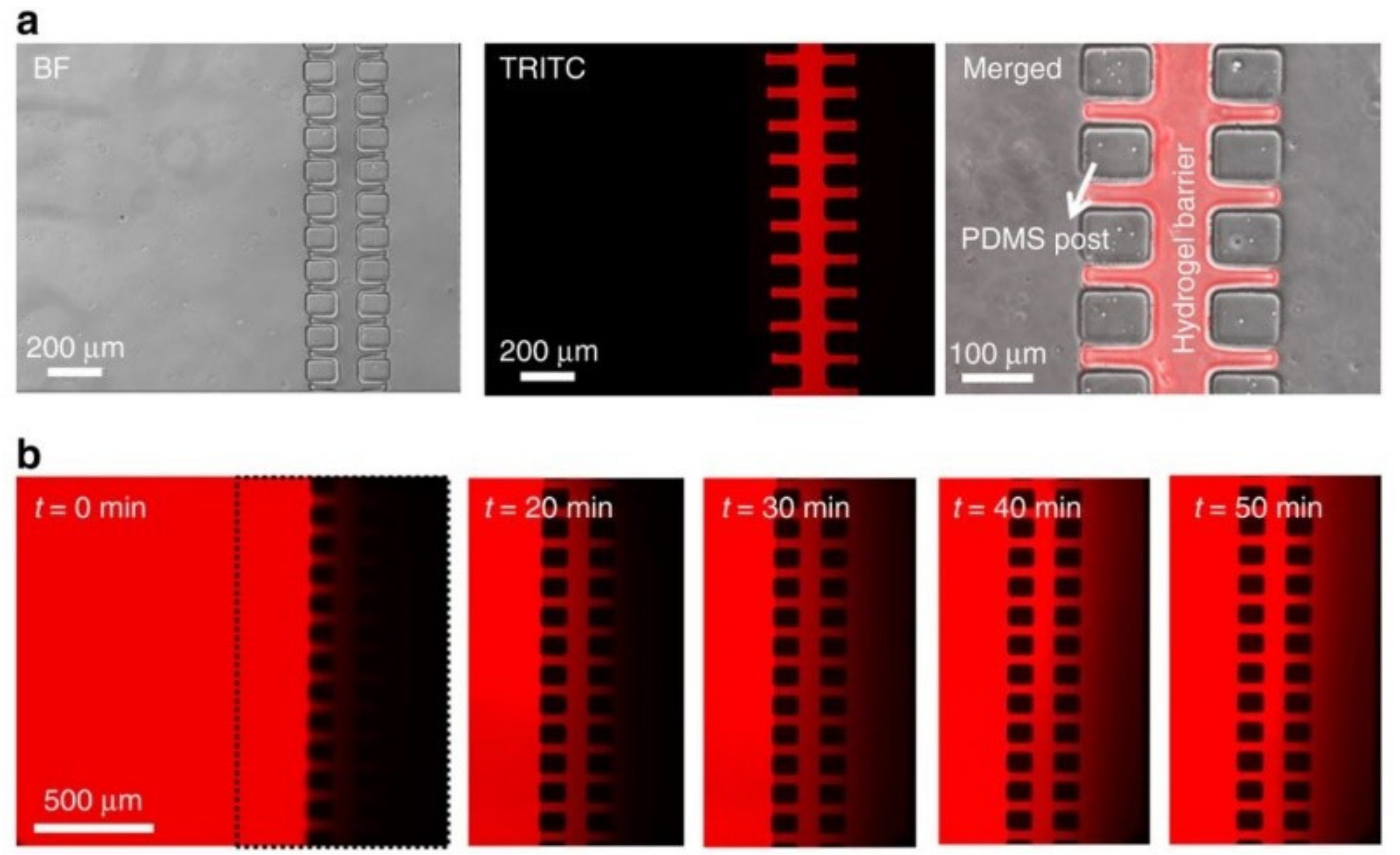 Sensors 21 01367 g003