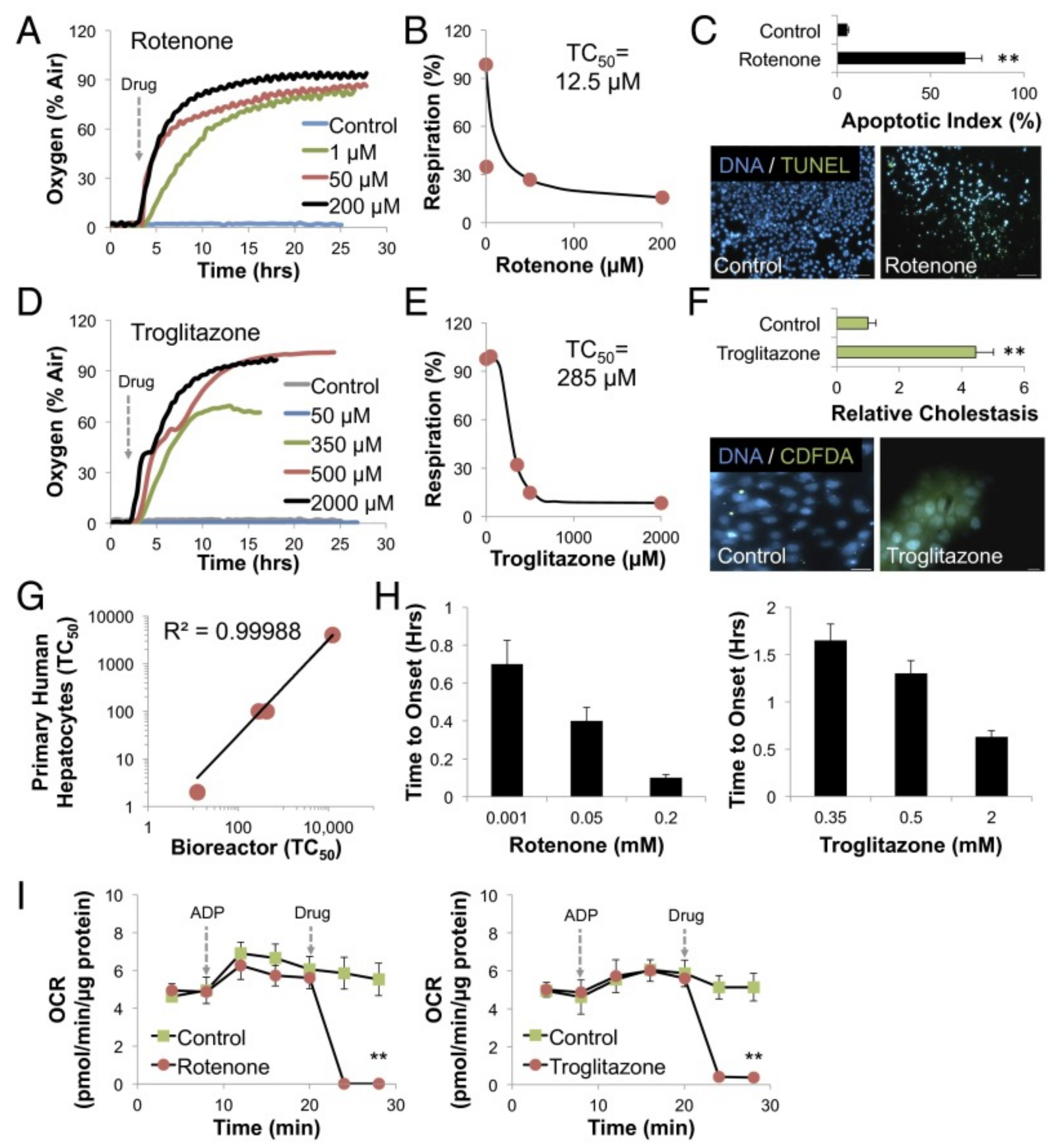 Sensors 21 01367 g004