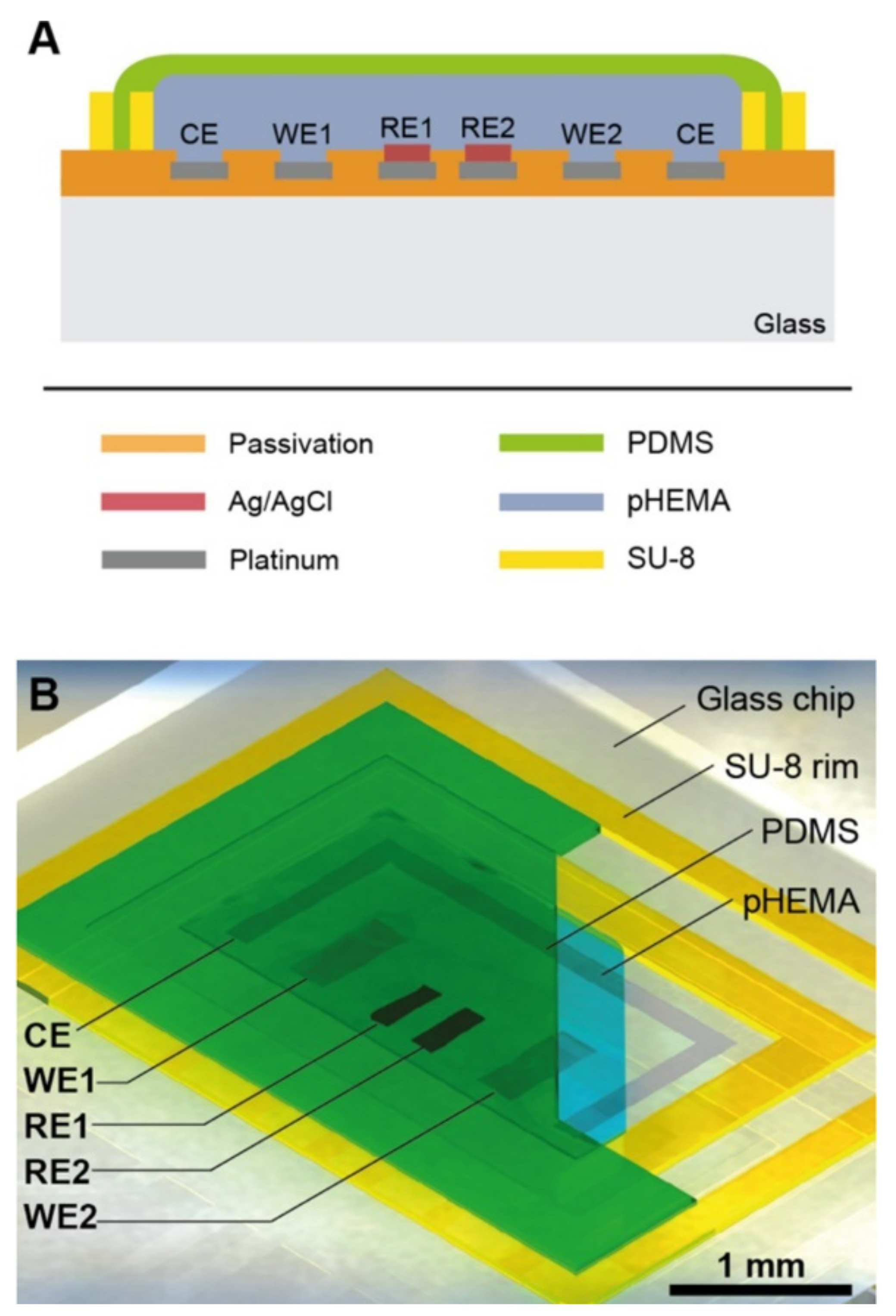 Sensors 21 01367 g005