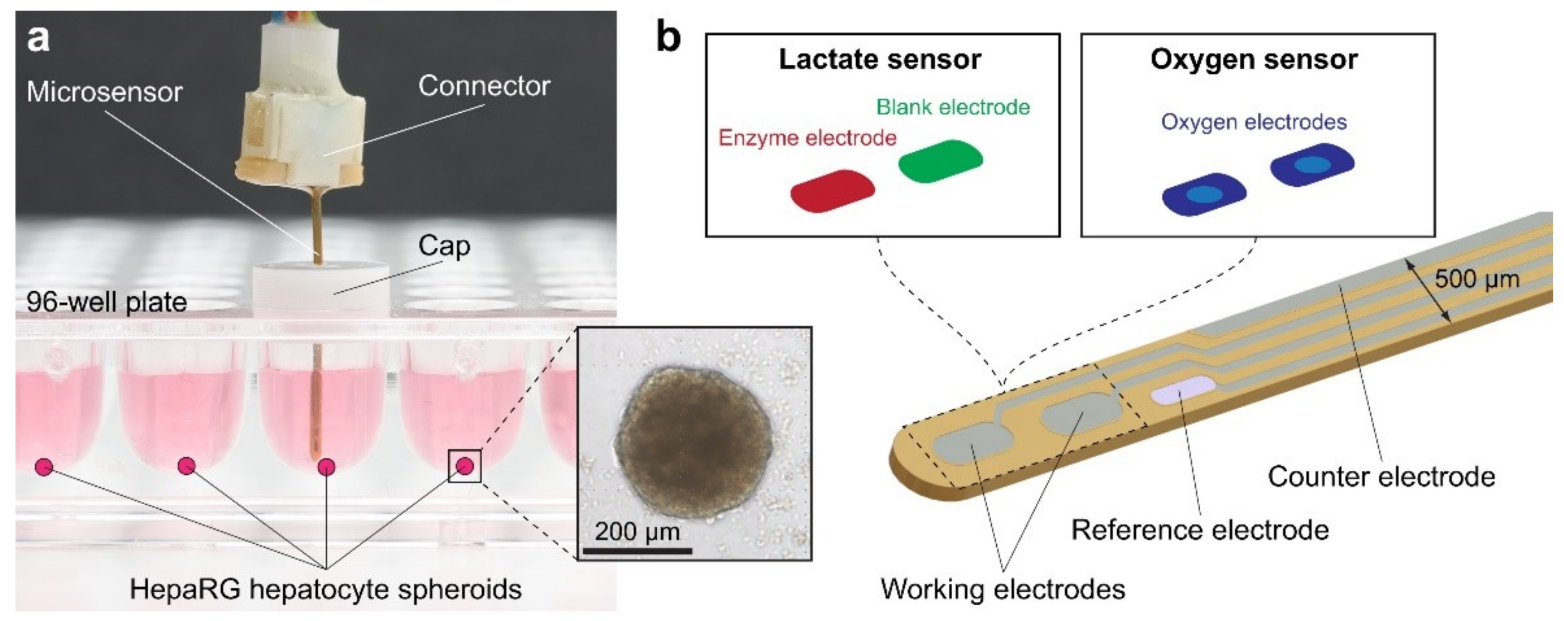 Sensors 21 01367 g006