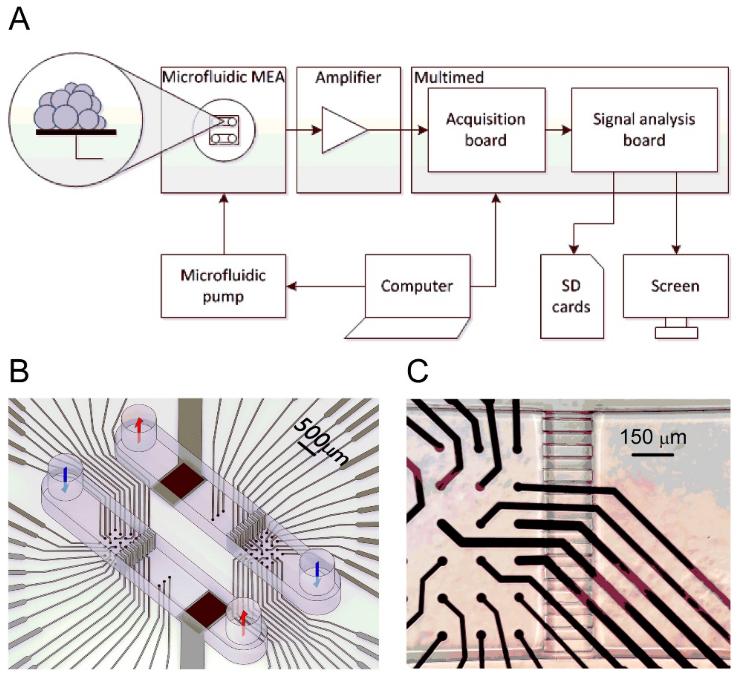 Sensors 21 01367 g007