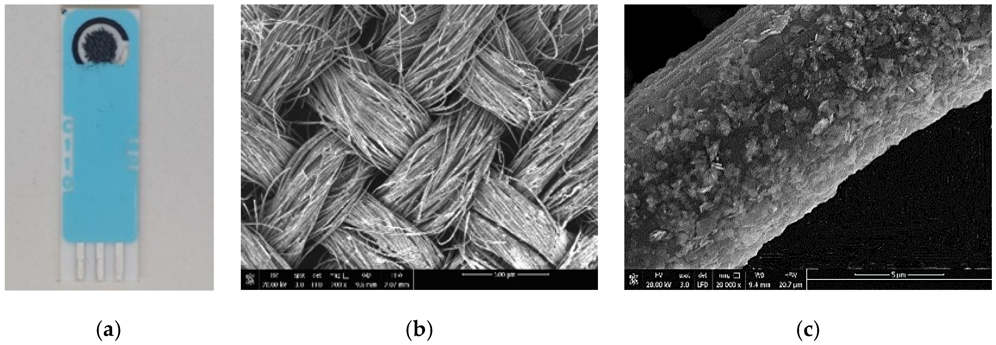Sensors 21 01371 g001 Sensors 21 01371 g001