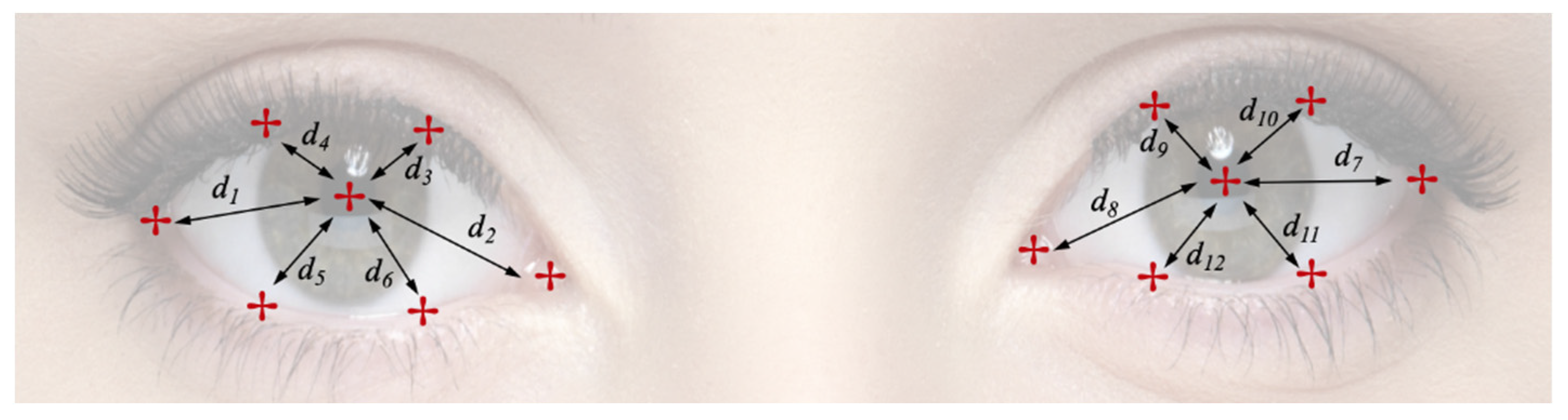 Sensors 21 01394 g003 Sensors 21 01394 g003