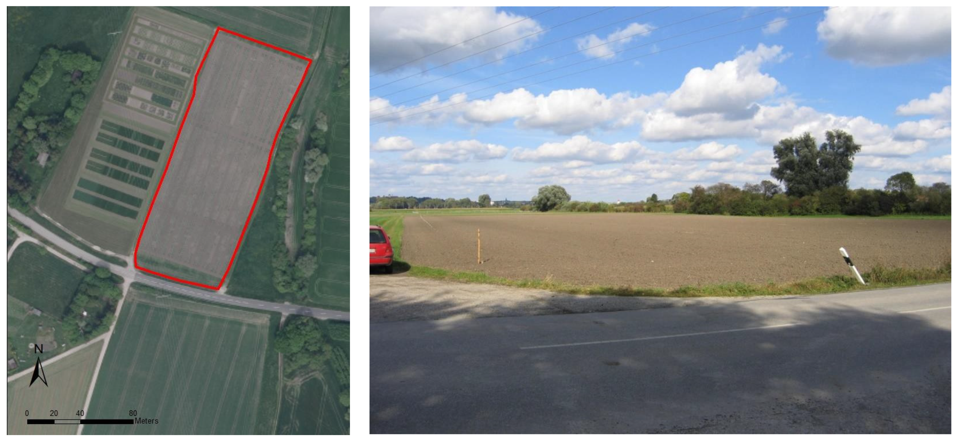 Sensors 21 01423 g001