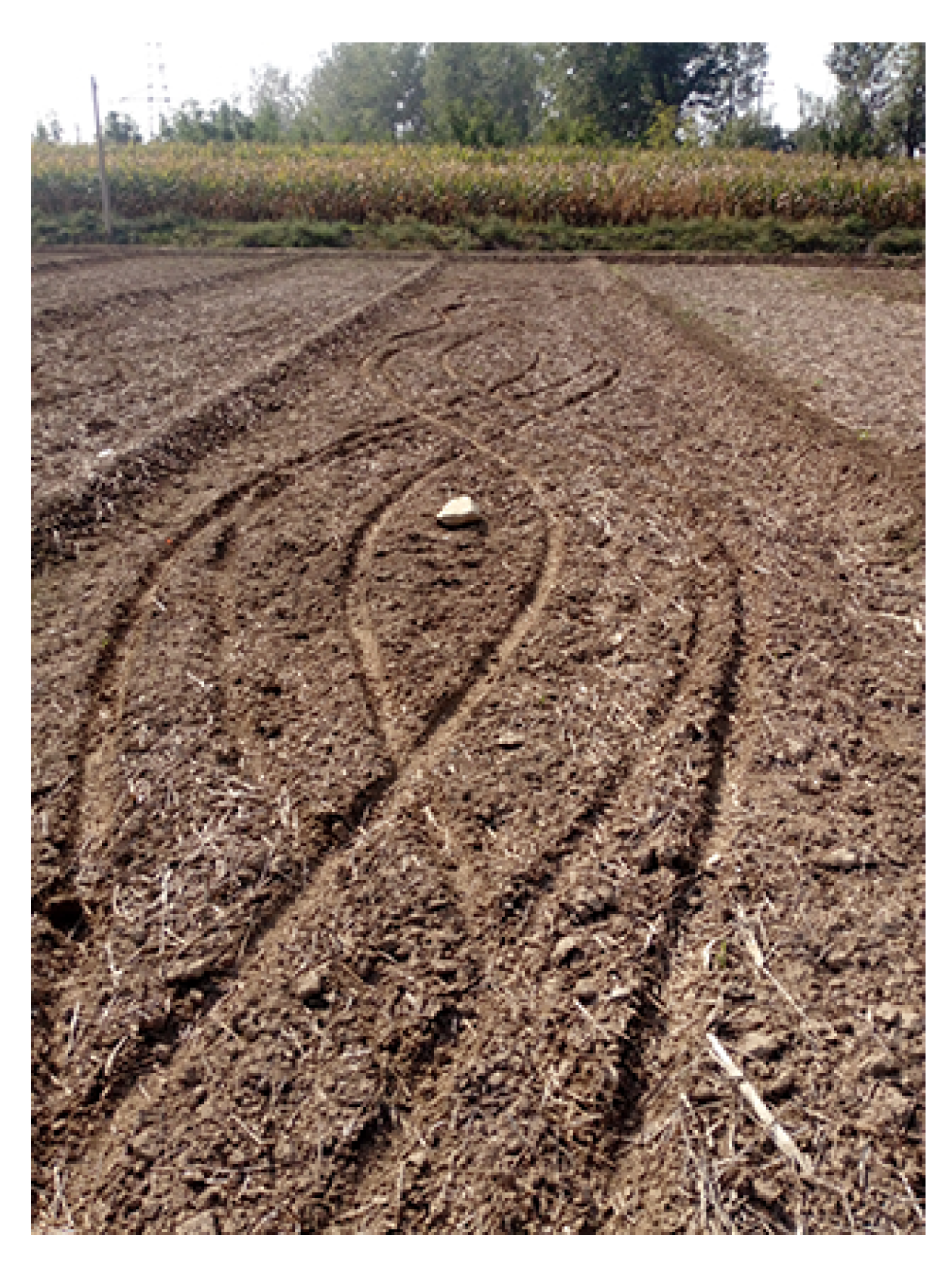 Sensors 21 01424 g005 Sensors 21 01424 g005