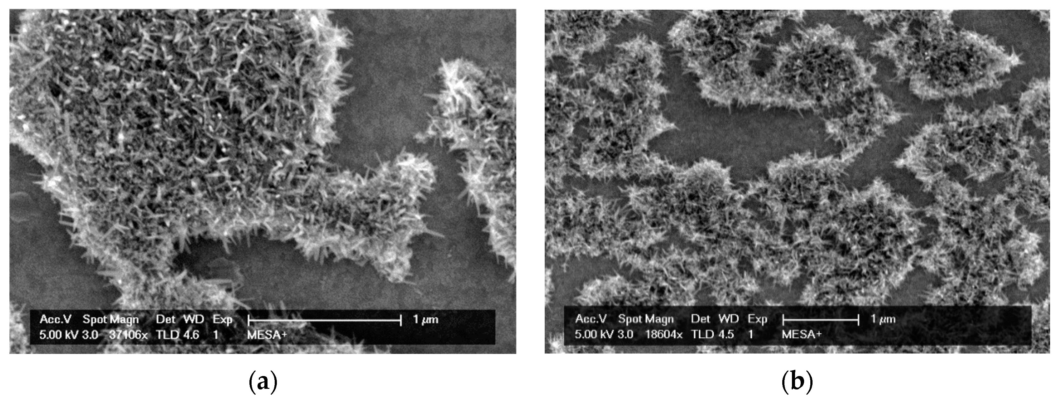 Sensors 21 01433 g002