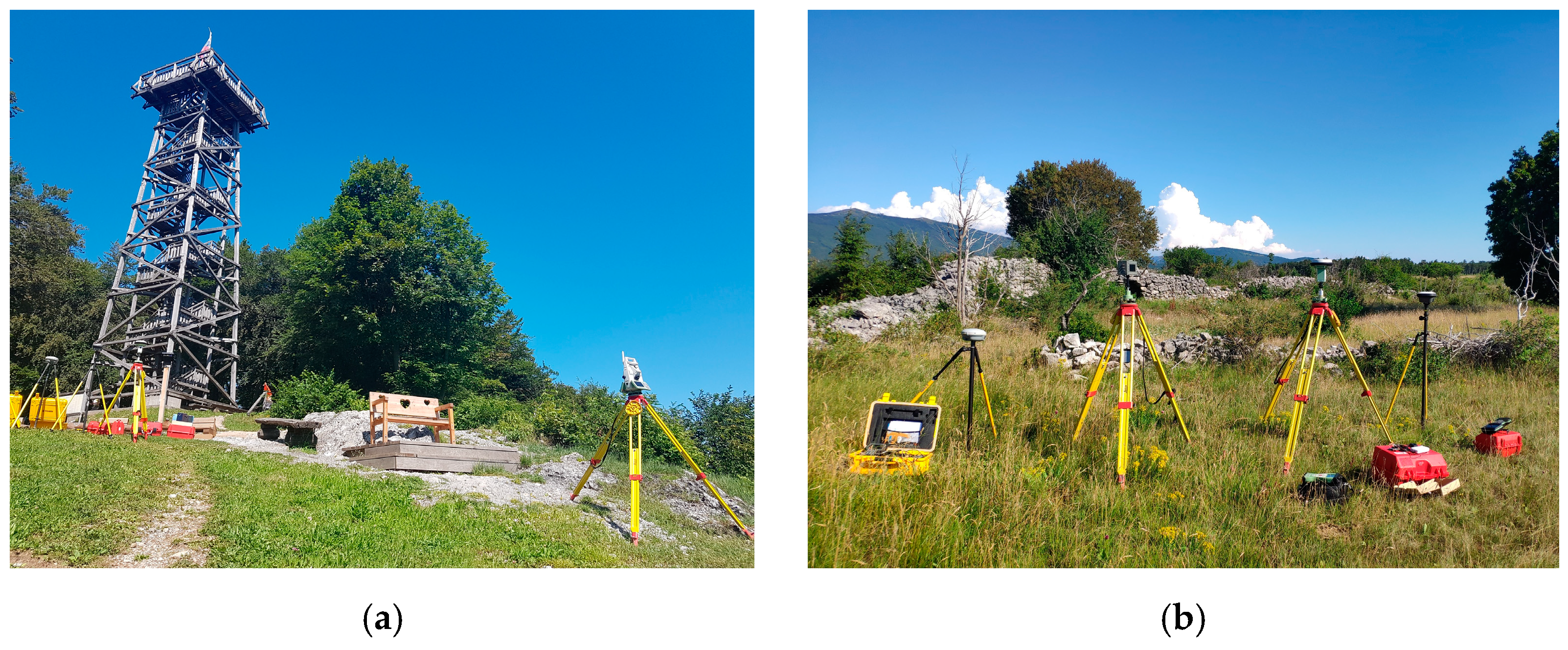 Sensors 21 01446 g001