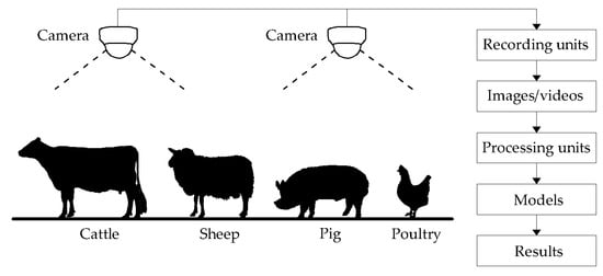 Sensors | Free Full-Text | Practices and Applications of Convolutional  Neural Network-Based Computer Vision Systems in Animal Farming: A Review