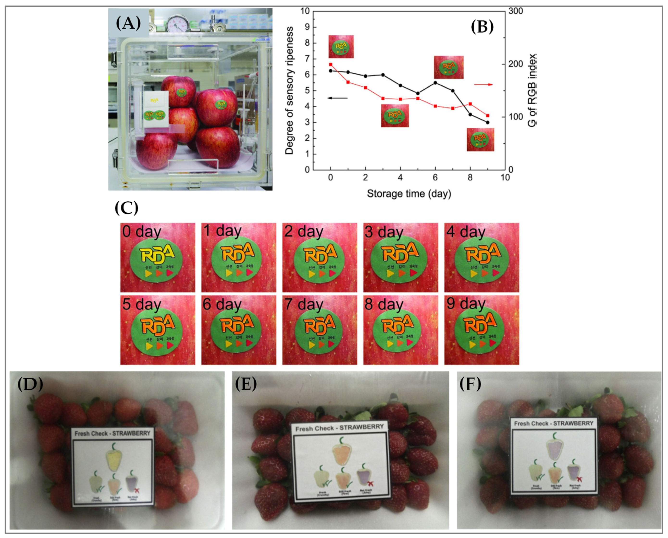 Sensors 21 01509 g005 Sensors 21 01509 g005