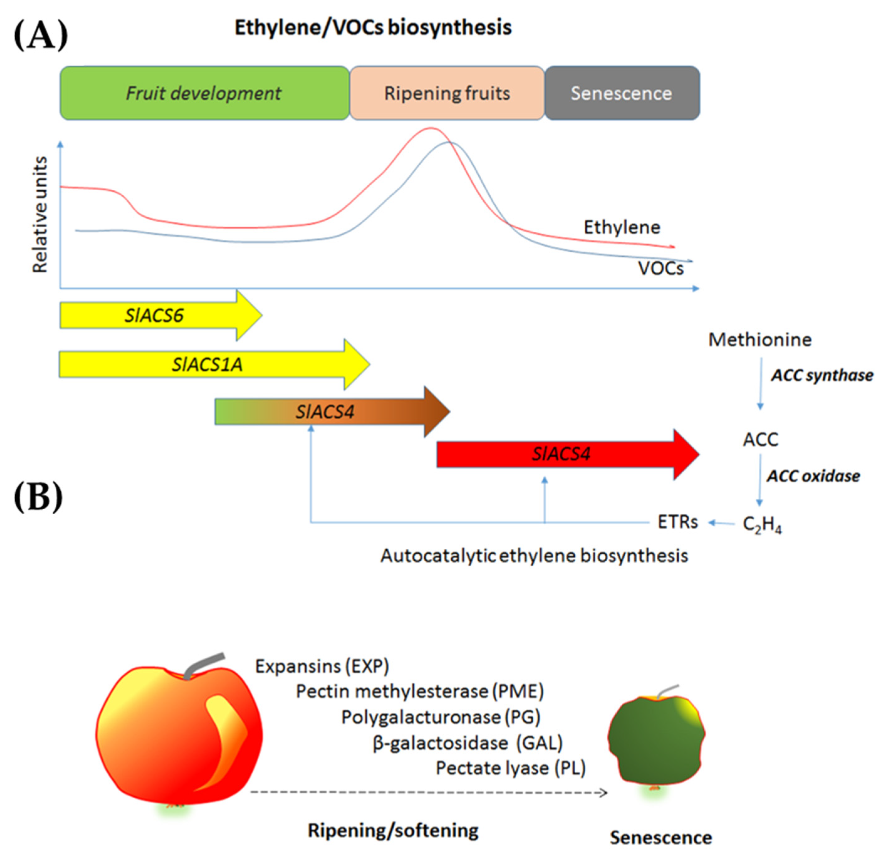 Sensors 21 01509 g011 Sensors 21 01509 g011