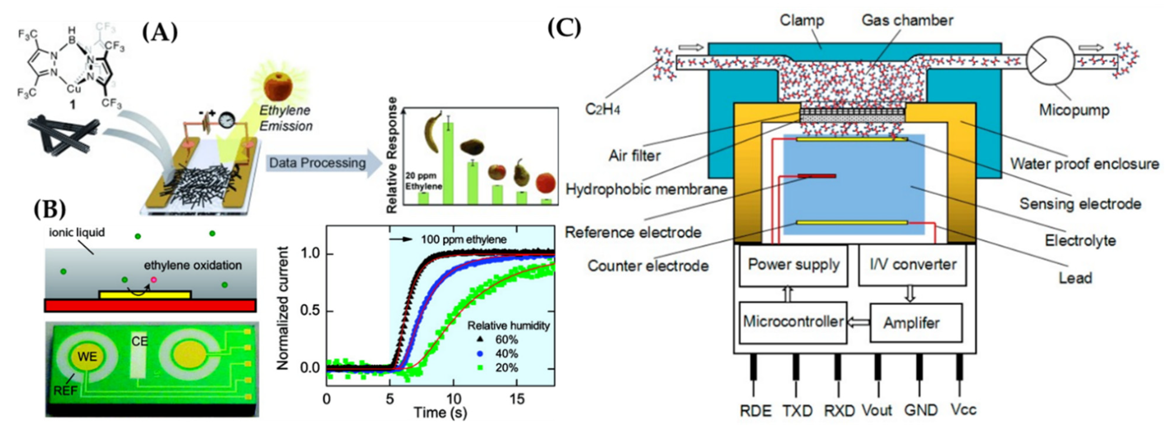Sensors 21 01509 g012 Sensors 21 01509 g012