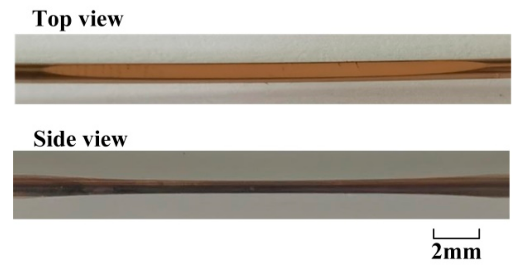 Sensors 21 01516 g006 Sensors 21 01516 g006